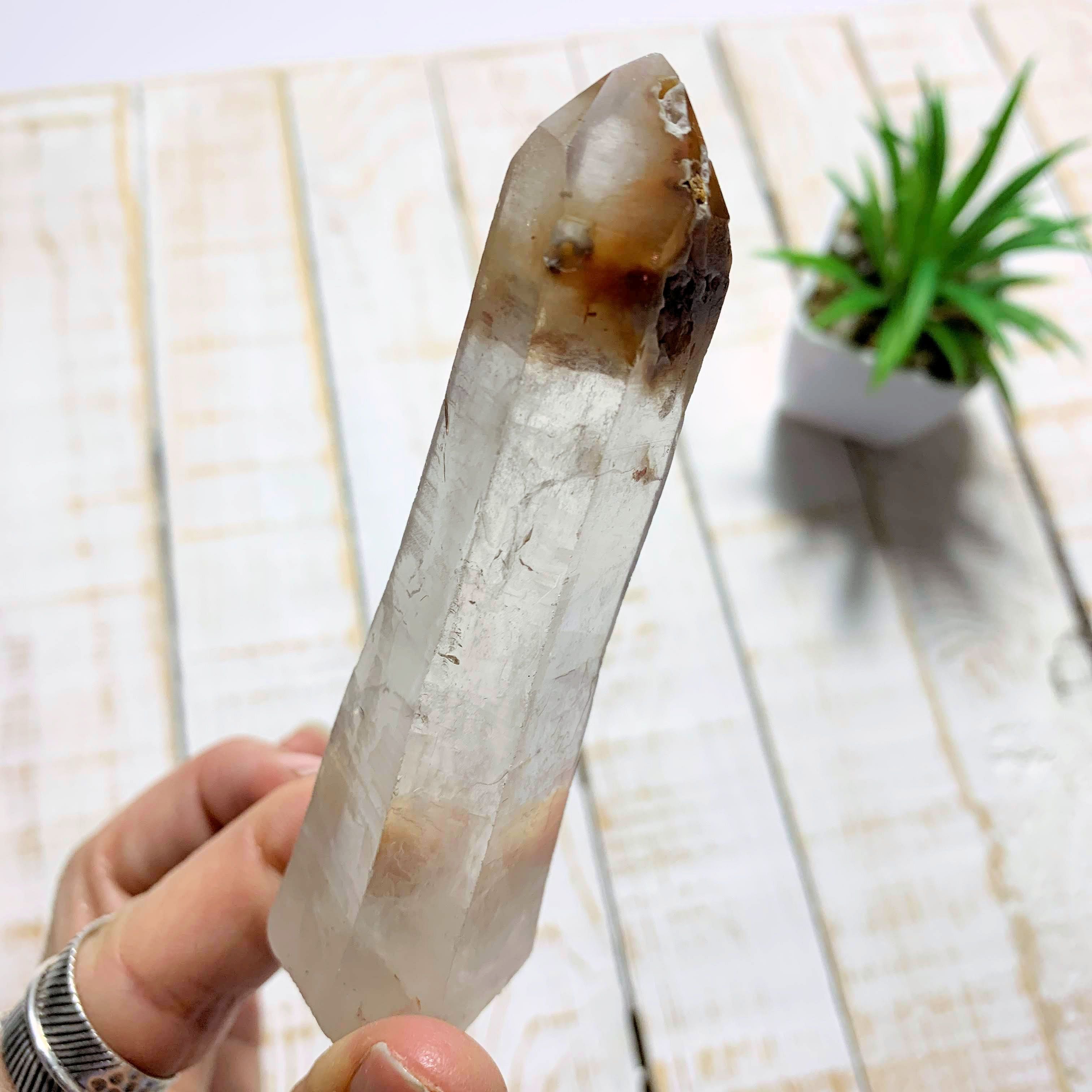 Angel Phantom Quartz Point From Brazil - Earth Family Crystals