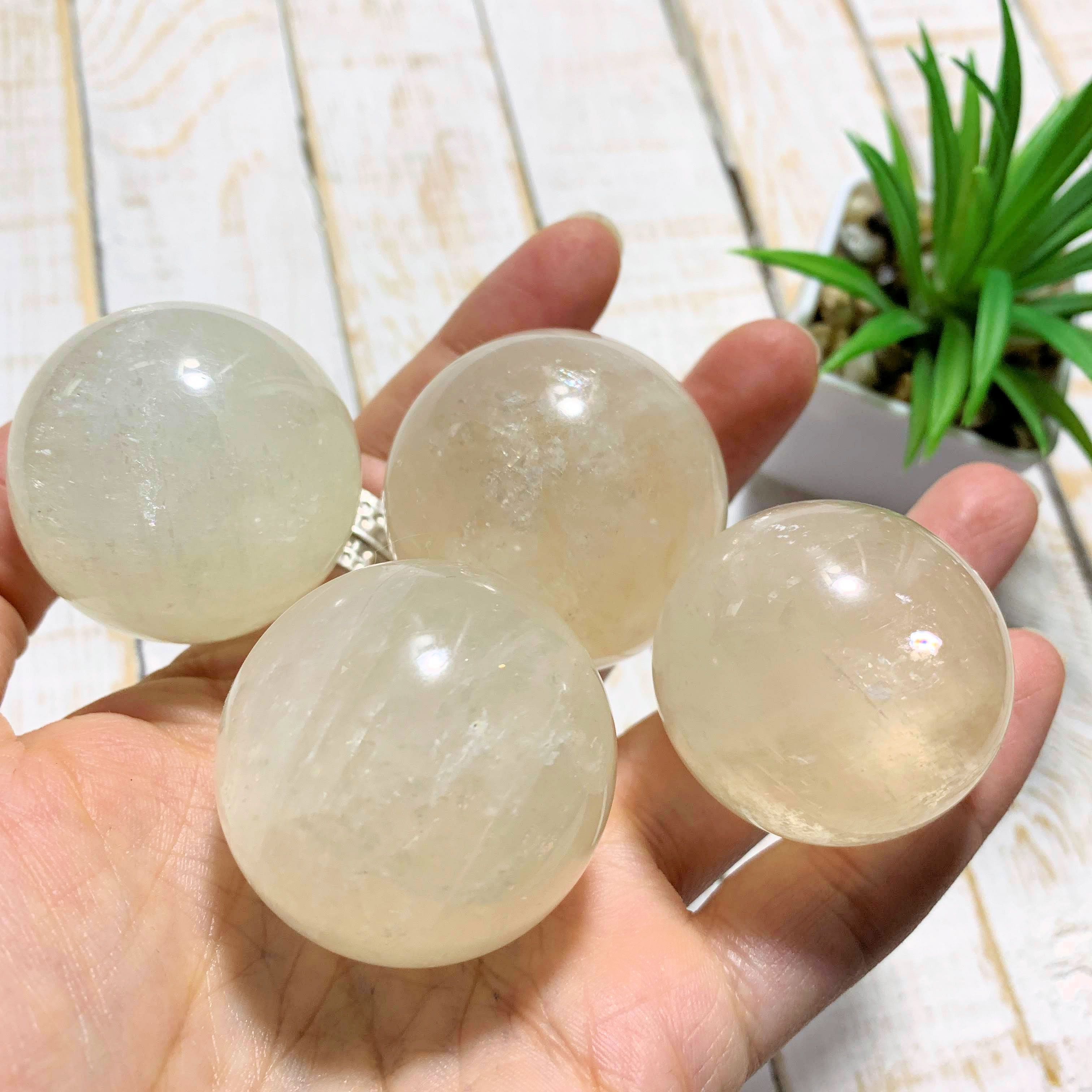 One Frosted Honey Calcite Sphere Carving - Earth Family Crystals