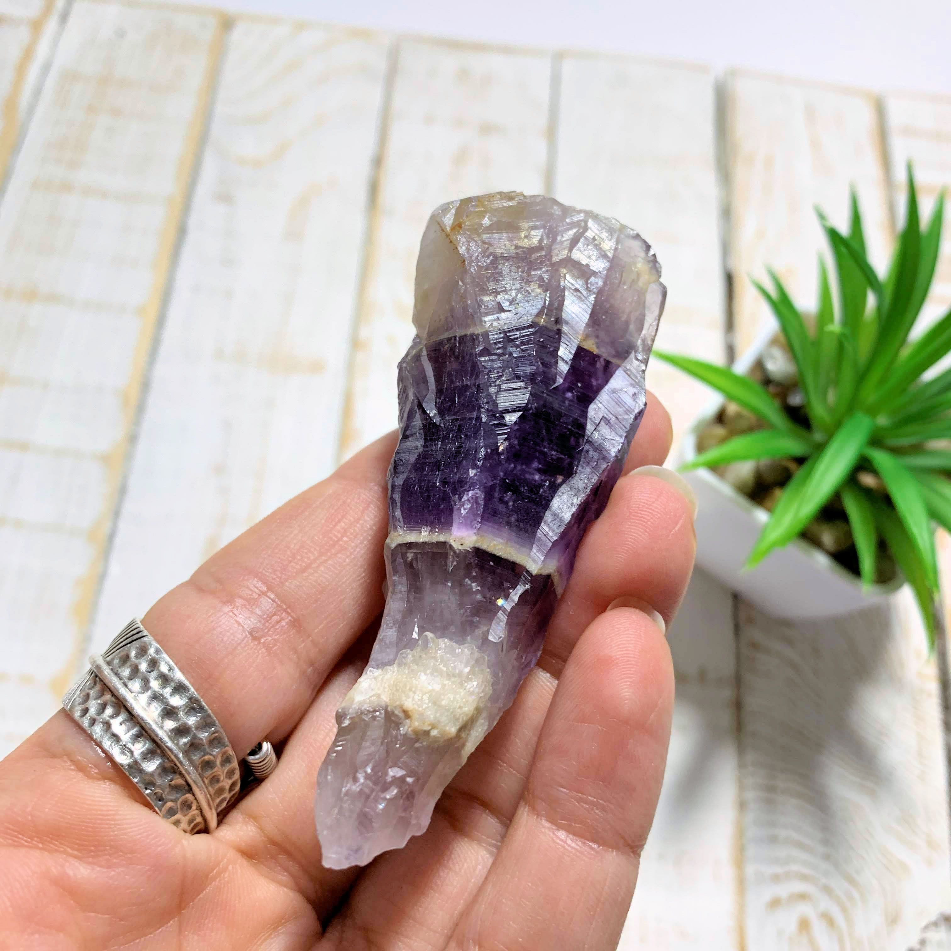 Raw Purple Chevron  Amethyst Point From Ontario, Canada - Earth Family Crystals