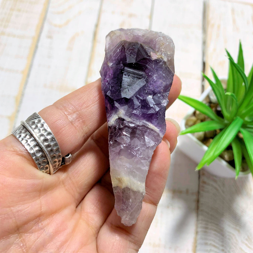 Raw Purple Chevron  Amethyst Point From Ontario, Canada - Earth Family Crystals