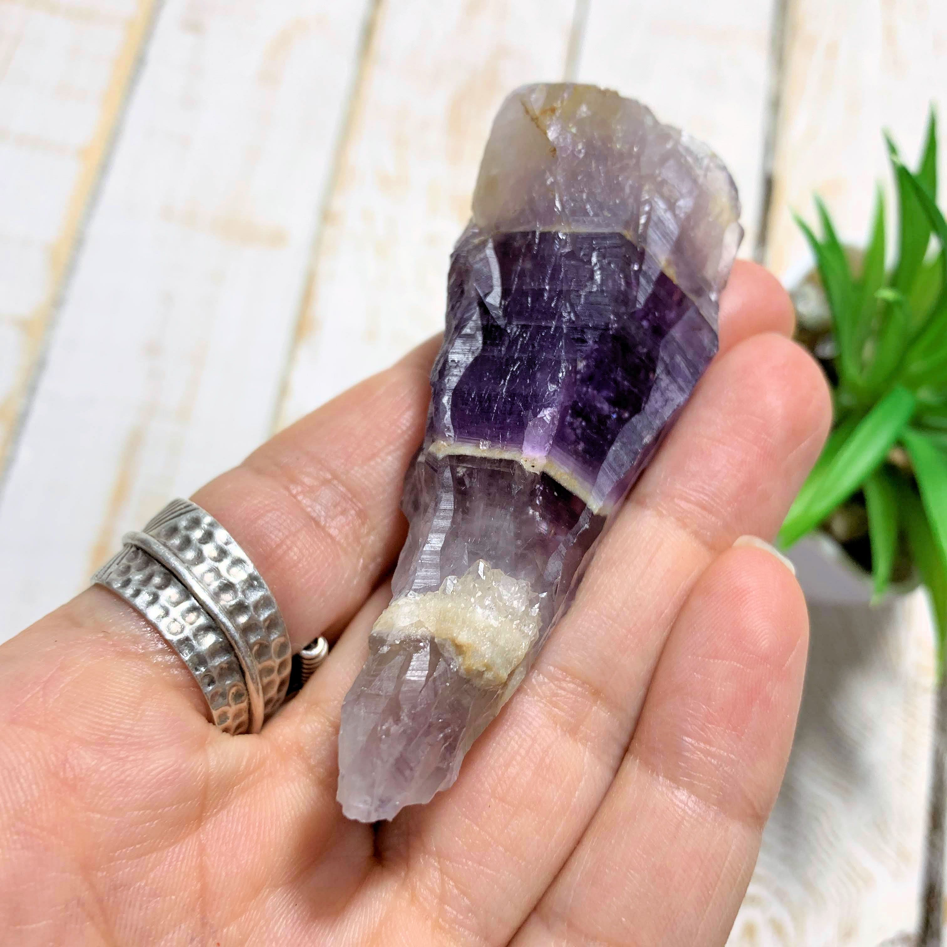 Raw Purple Chevron  Amethyst Point From Ontario, Canada - Earth Family Crystals