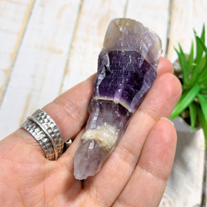 Raw Purple Chevron  Amethyst Point From Ontario, Canada - Earth Family Crystals