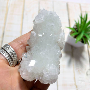 High Vibration Quartz Druzy & Clear Apophyllite Specimen Inclusions From India - Earth Family Crystals