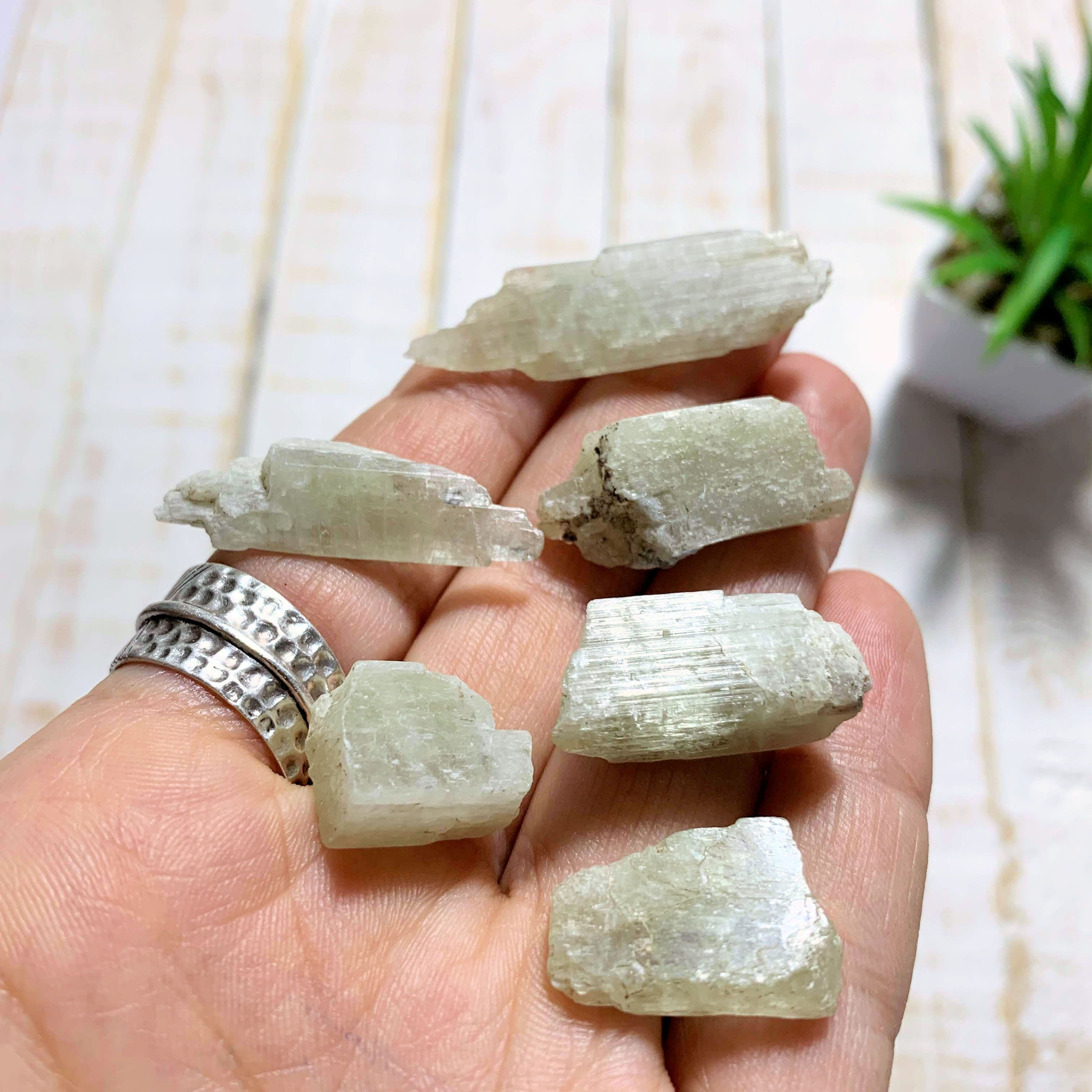 Set of 6 Raw Hiddenite (Green Kunzite) Small Handheld Crystals from Minas Gerais, Brazil