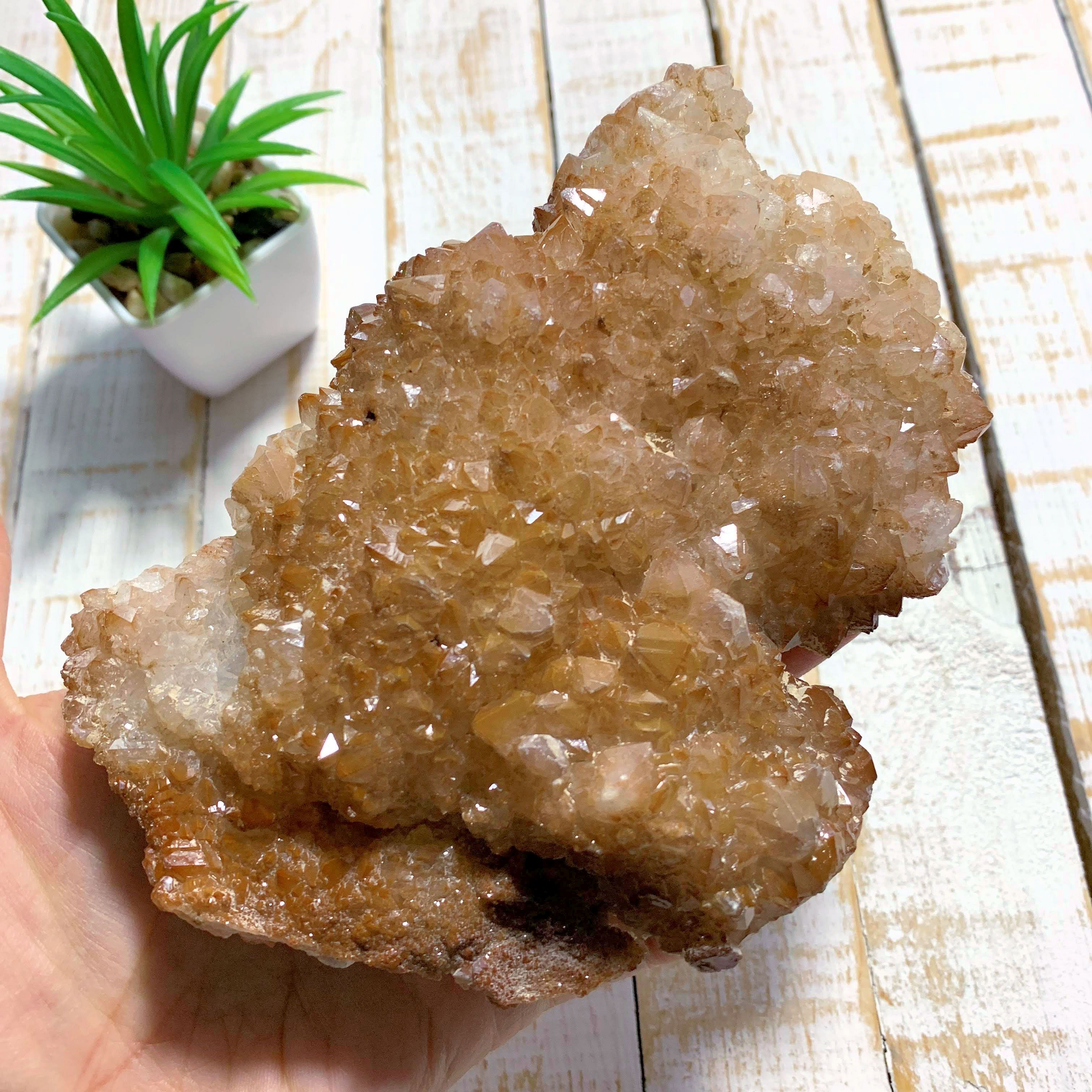 Brilliant Orange River Large Quartz Cluster From South Africa - Earth Family Crystals