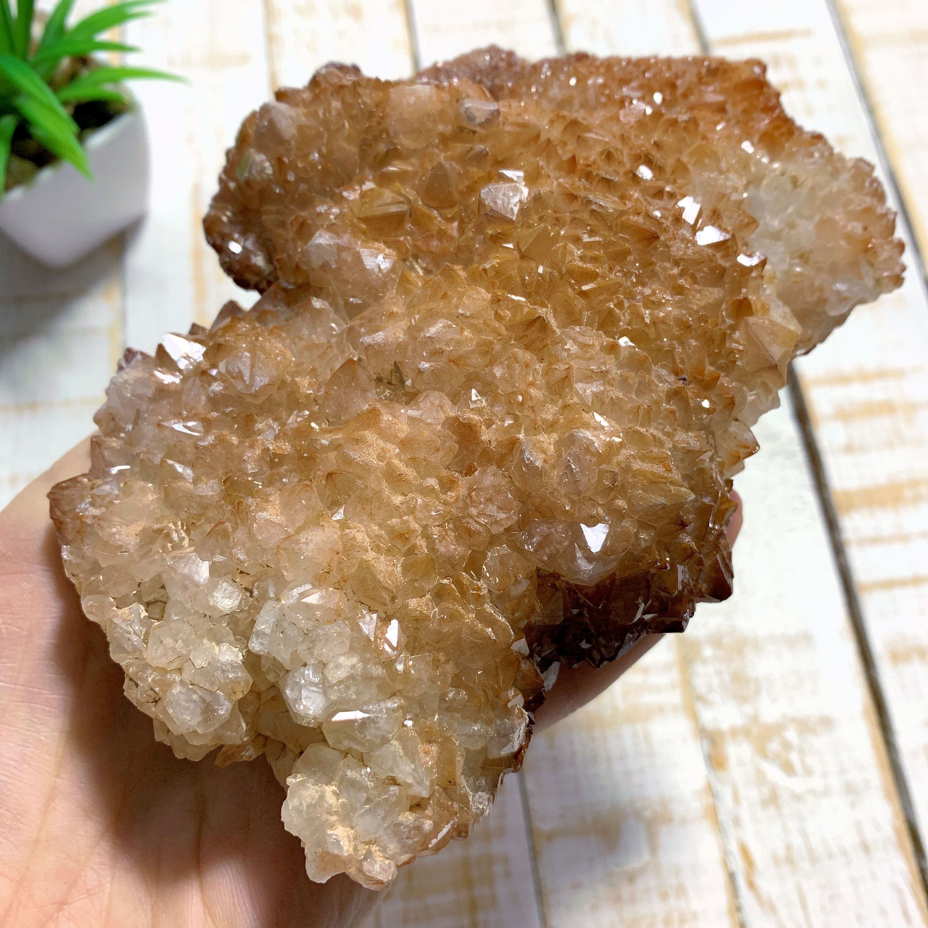 Brilliant Orange River Large Quartz Cluster From South Africa - Earth Family Crystals