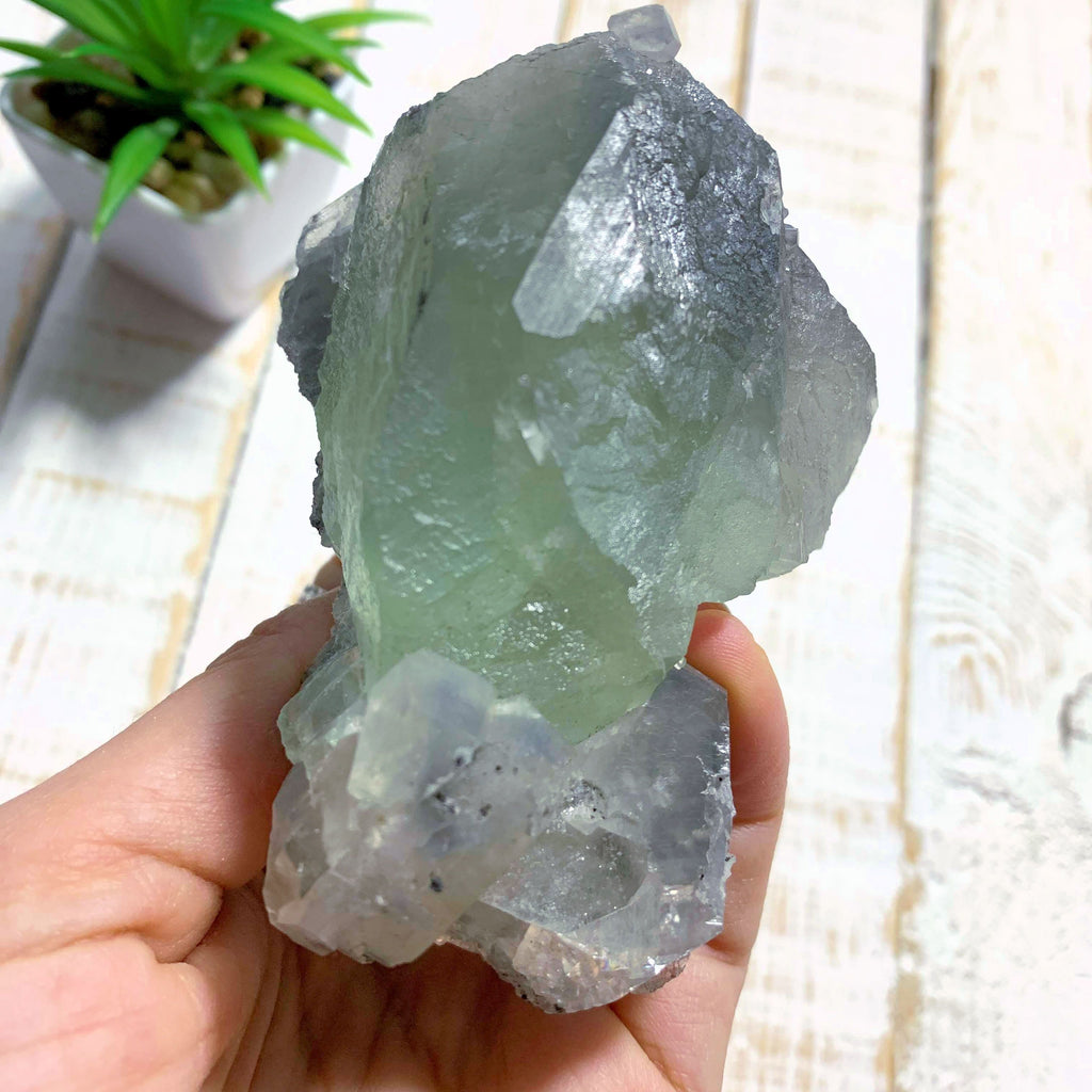 Deep Green Chunky Fluorite & Calcite Specimen From Mexico - Earth Family Crystals