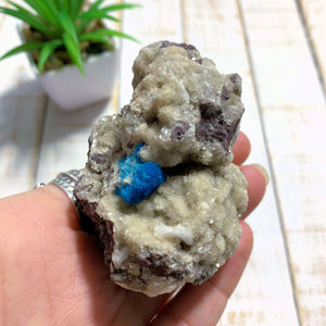 Vibrant Electric Blue Cavansite Nestled In Matrix From India - Earth Family Crystals