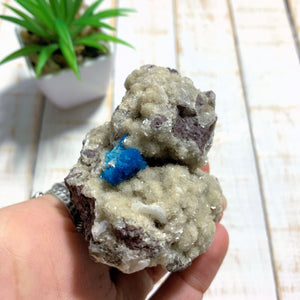 Vibrant Electric Blue Cavansite Nestled In Matrix From India - Earth Family Crystals