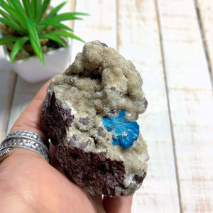 Vibrant Electric Blue Cavansite Nestled In Matrix From India - Earth Family Crystals