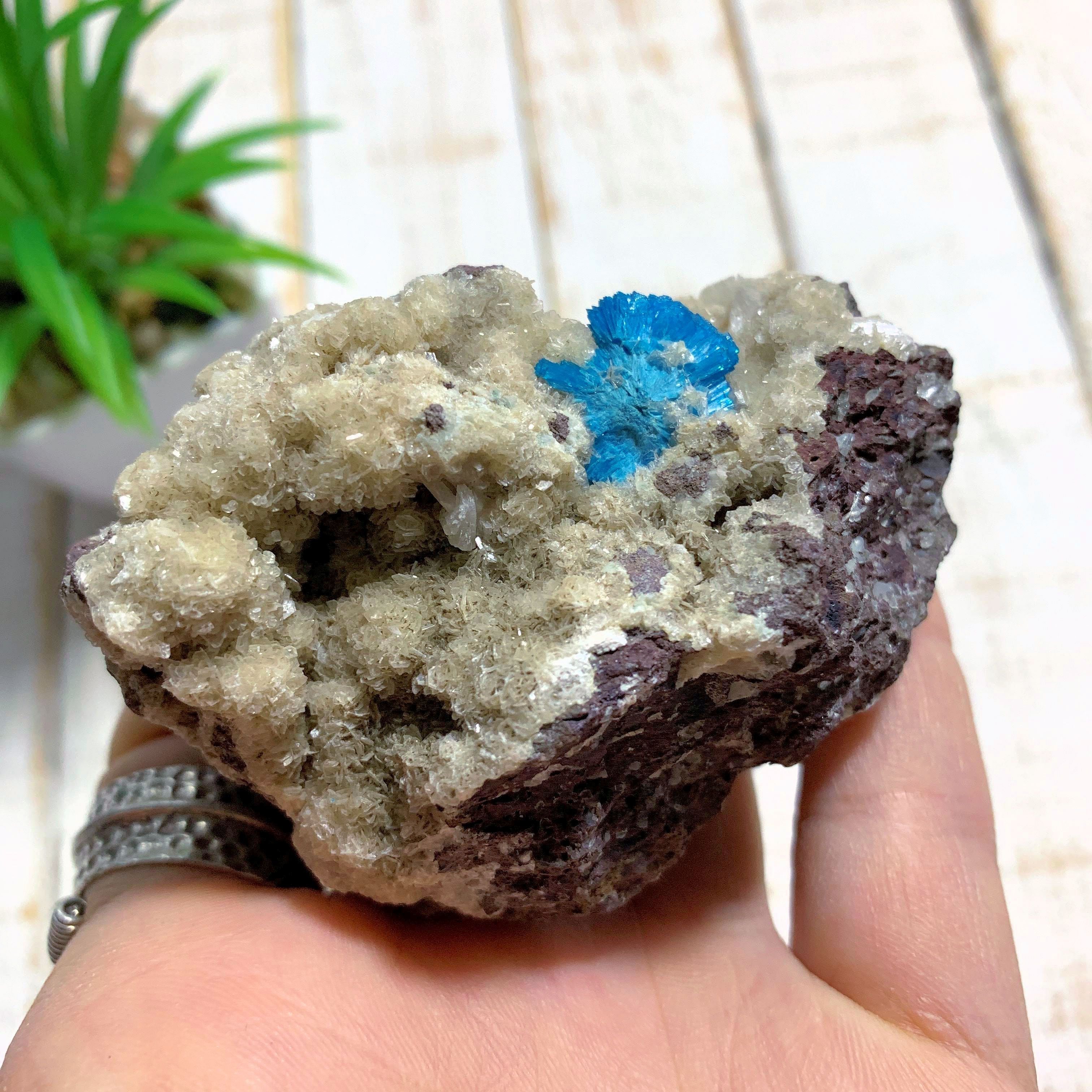 Vibrant Electric Blue Cavansite Nestled In Matrix From India - Earth Family Crystals