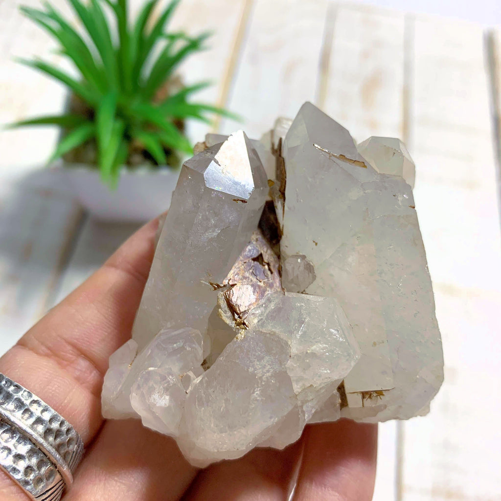 Golden Brookite Nestled in Quartz Point Matrix From Brazil - Earth Family Crystals