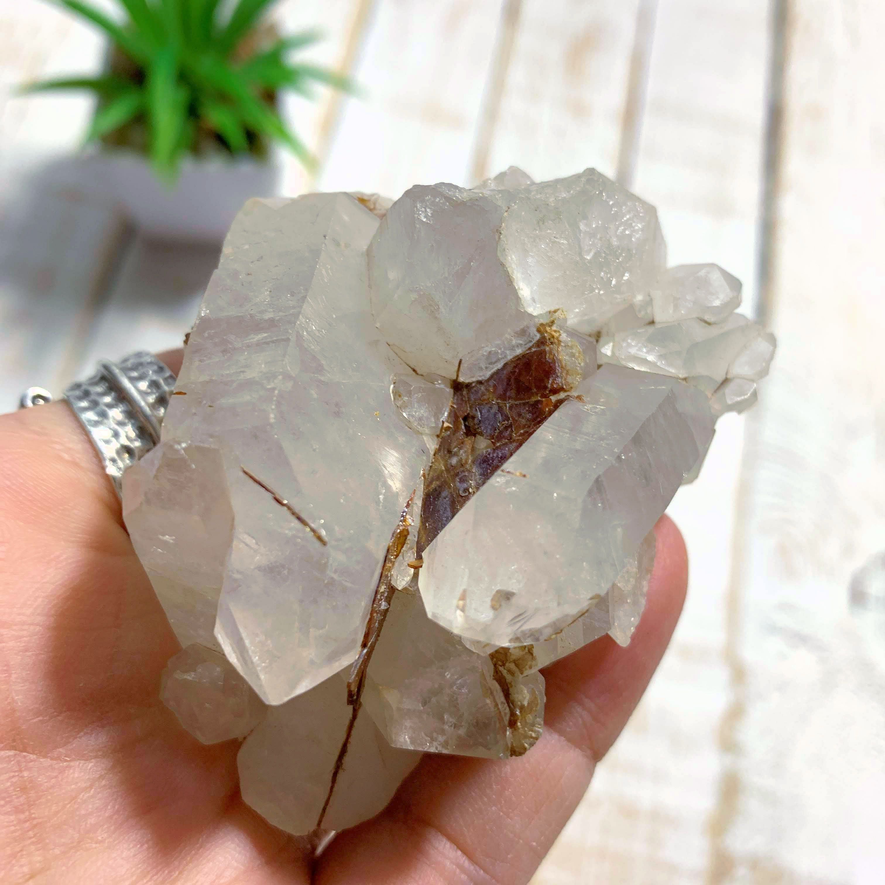 Golden Brookite Nestled in Quartz Point Matrix From Brazil - Earth Family Crystals