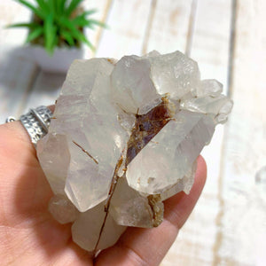 Golden Brookite Nestled in Quartz Point Matrix From Brazil - Earth Family Crystals