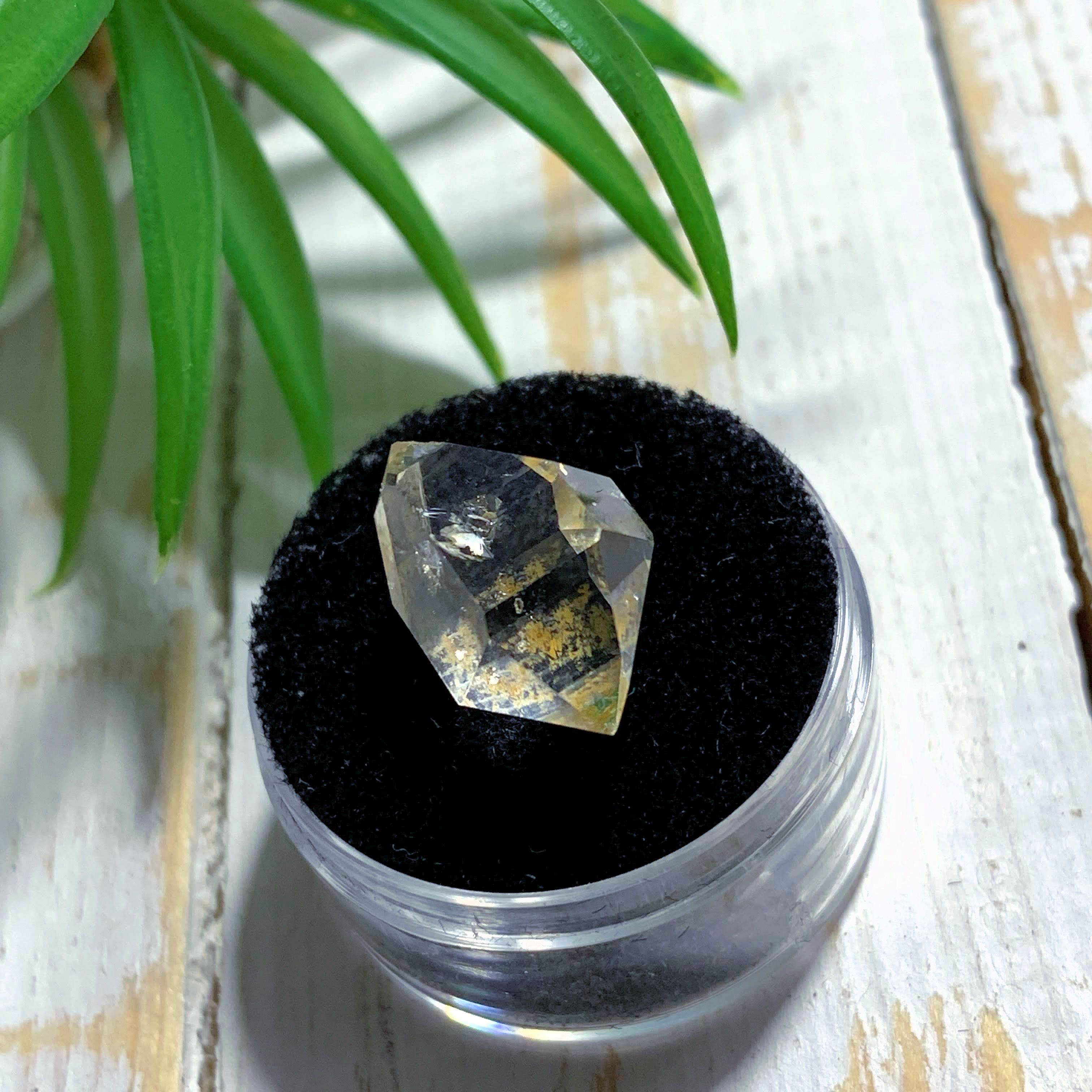 Gemmy Brilliant New York Herkimer Diamond in Collectors Box #1 - Earth Family Crystals