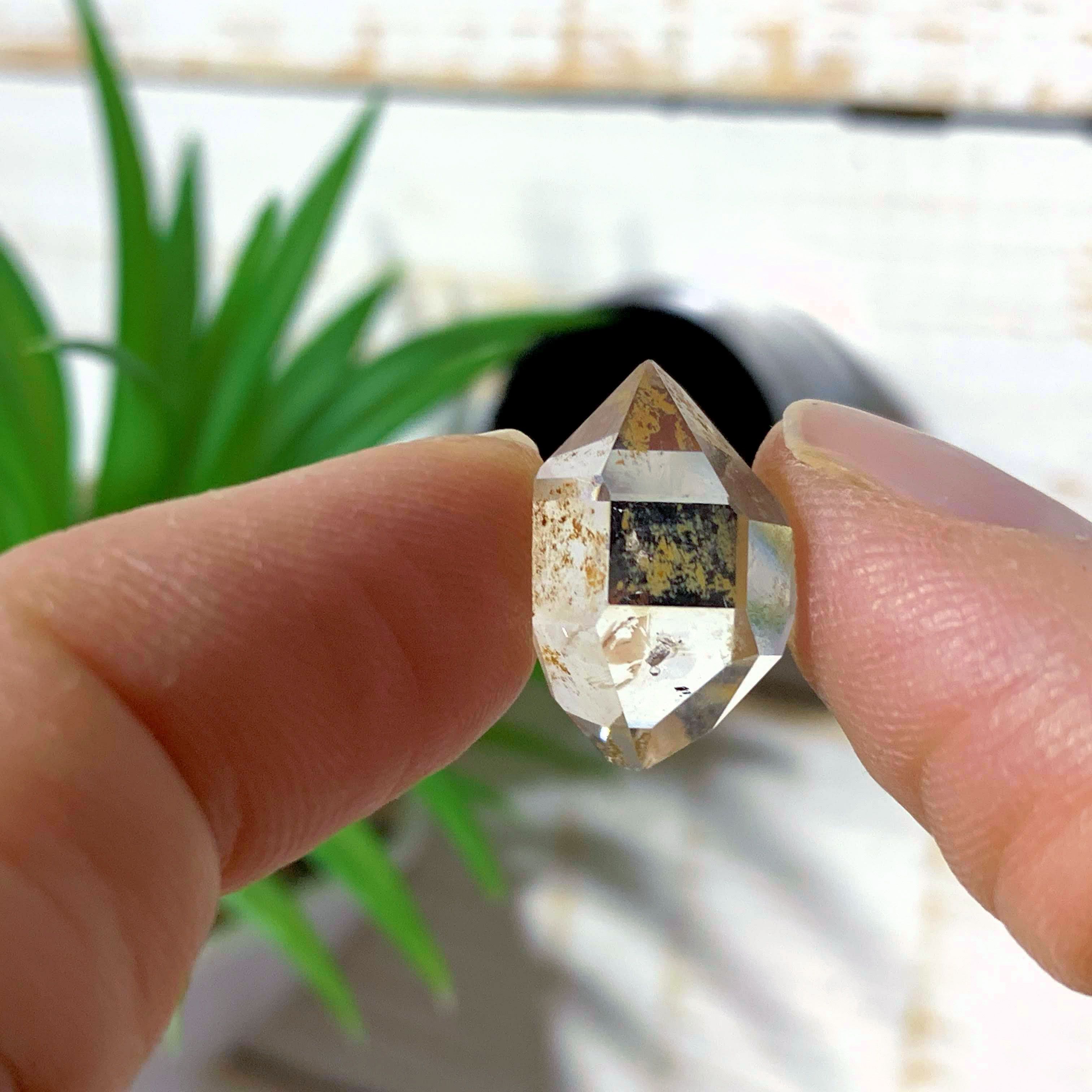 Gemmy Brilliant New York Herkimer Diamond in Collectors Box #1 - Earth Family Crystals