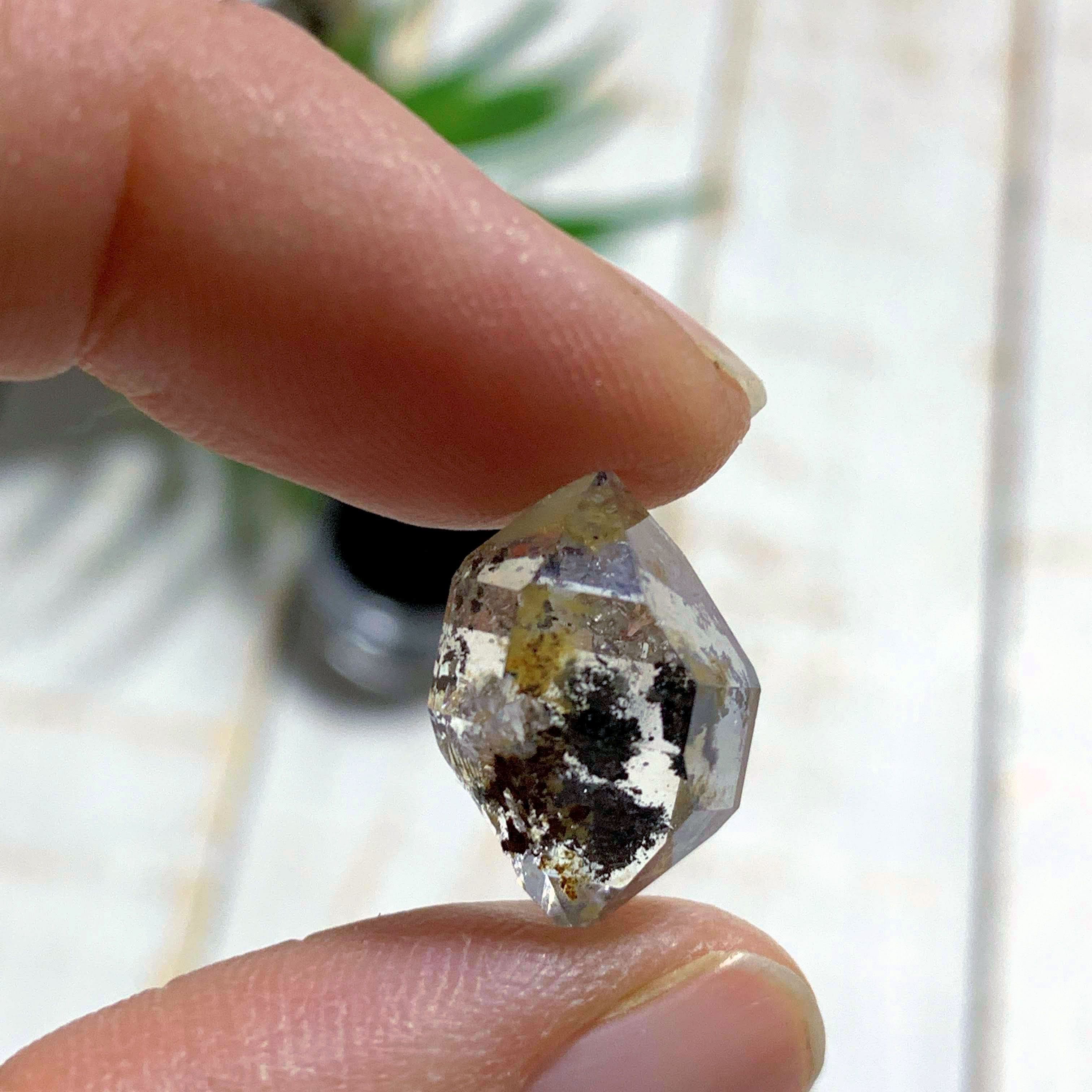 New York Herkimer Diamond with black Anthraxolite inclusions in Collectors Box #2 - Earth Family Crystals
