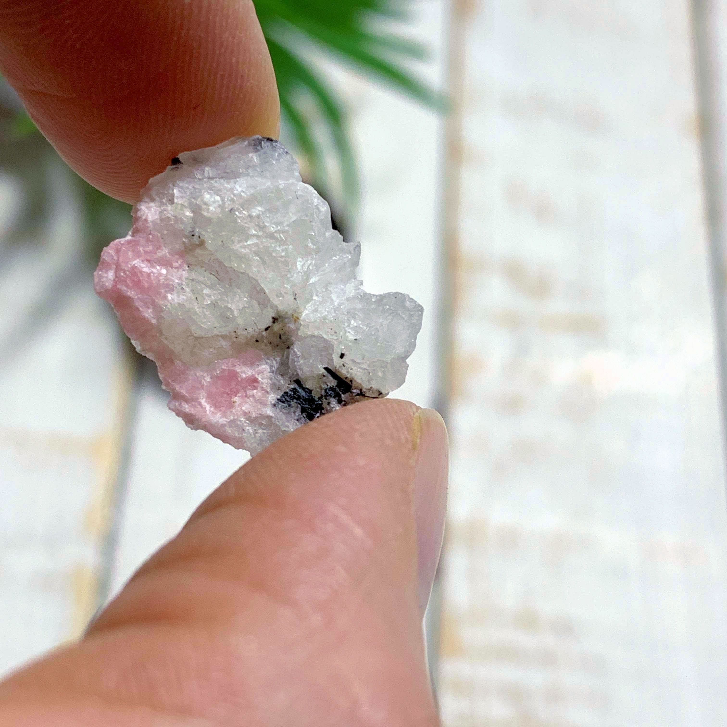 Rare Pink Tugtupite in Matrix of White Natrolite & Agerine Included in Collectors Box From Greenland - Earth Family Crystals