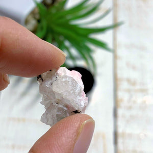 Rare Pink Tugtupite in Matrix of White Natrolite & Agerine Included in Collectors Box From Greenland - Earth Family Crystals