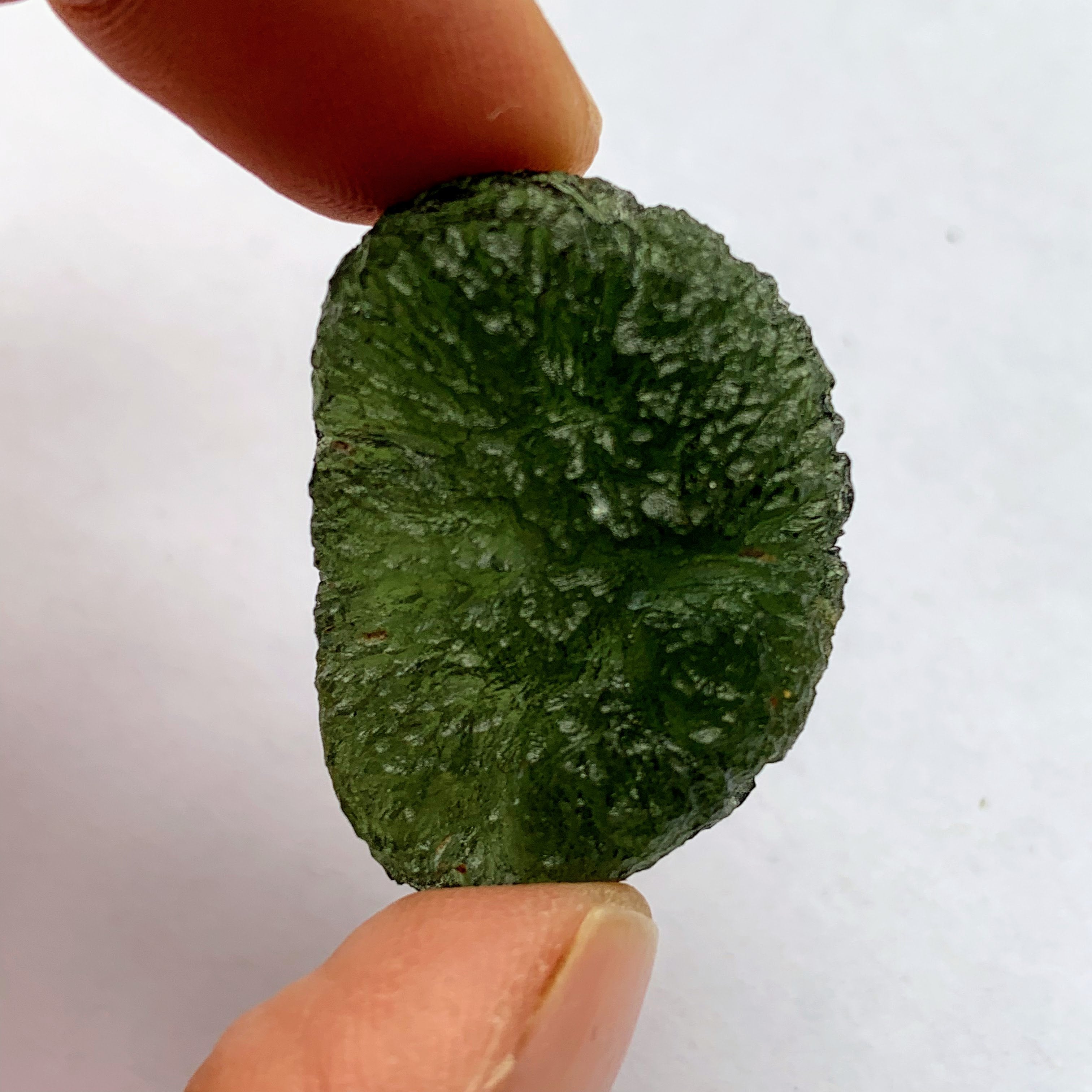 Reserved Karen High AA GRADE Moldavite Raw Specimen From Czech Republic #5 - Earth Family Crystals