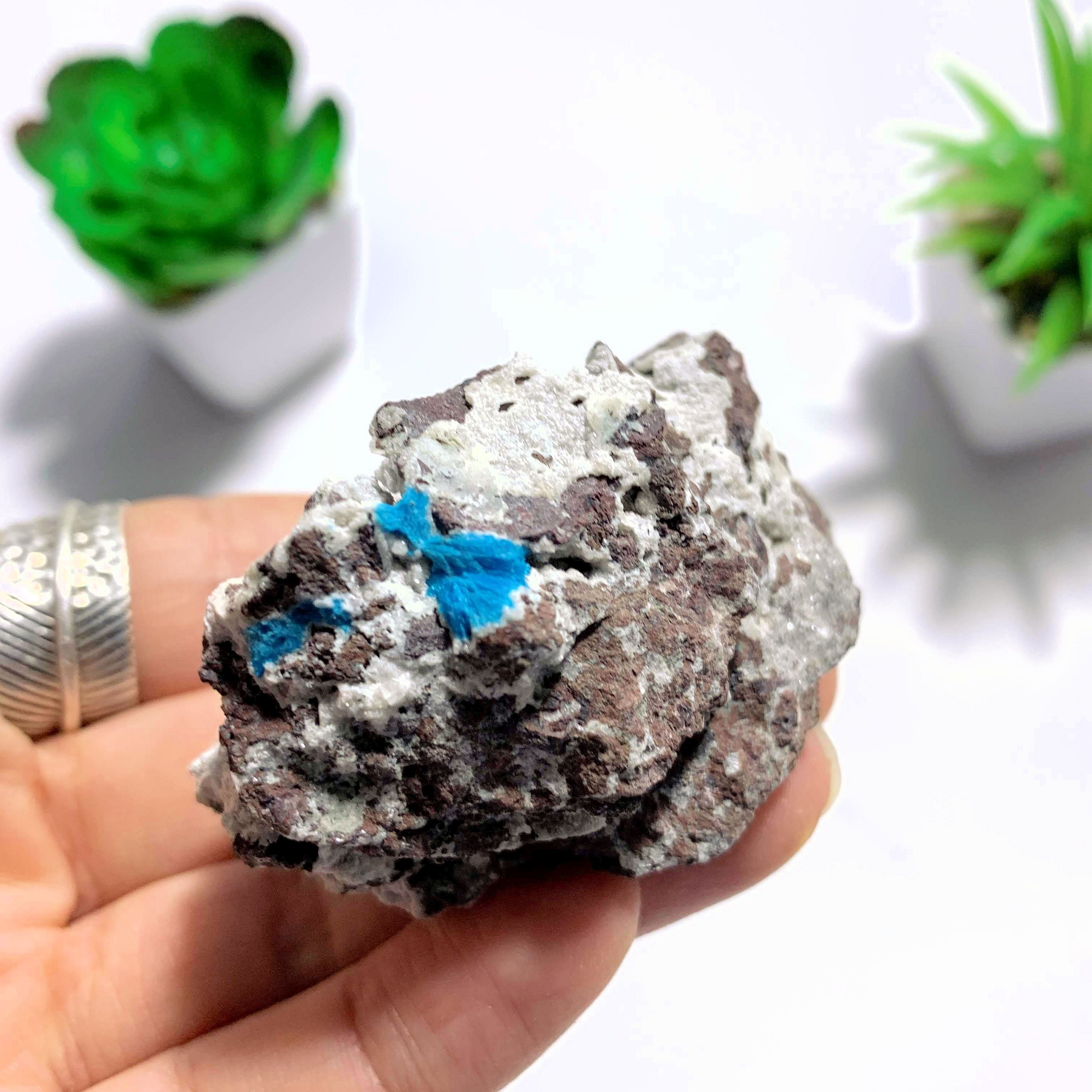 Natural Blue Cavansite Nestled In Druzy Matrix ~Locality India - Earth Family Crystals