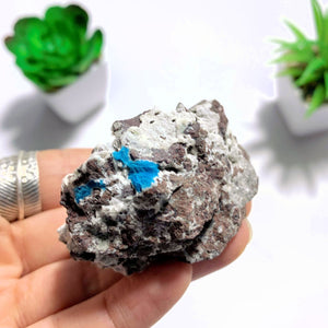 Natural Blue Cavansite Nestled In Druzy Matrix ~Locality India - Earth Family Crystals