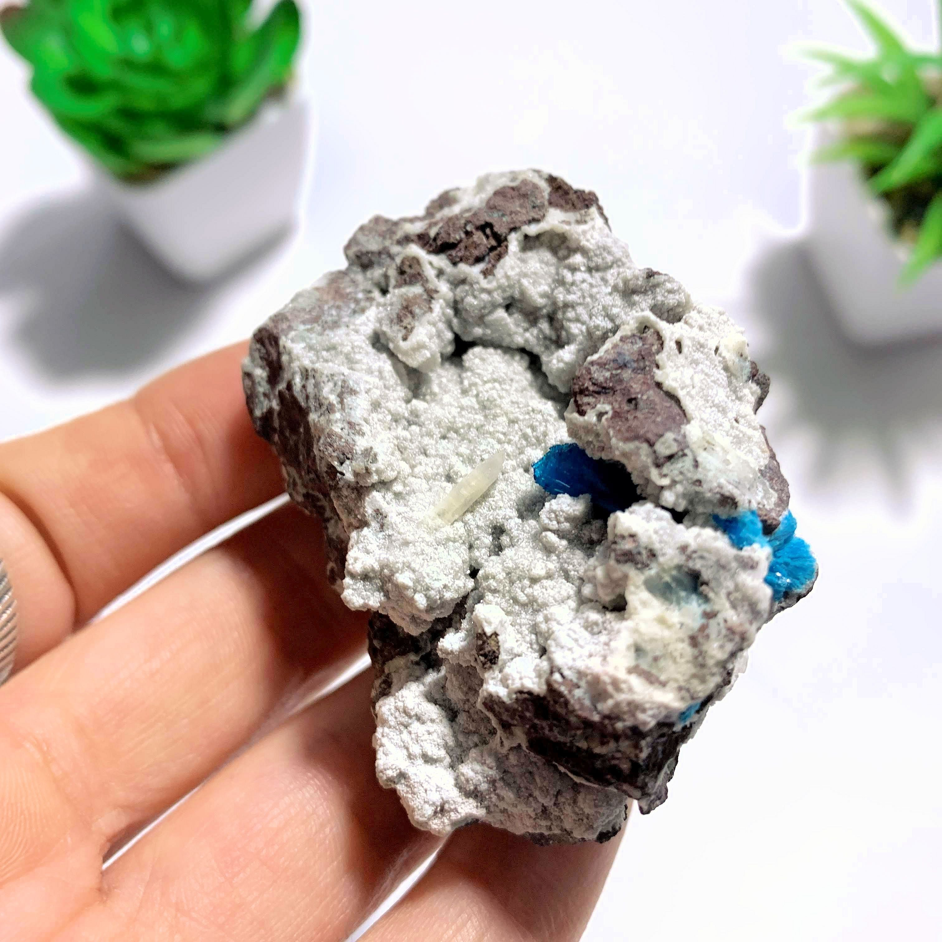 Natural Blue Cavansite Nestled In Druzy Matrix ~Locality India - Earth Family Crystals