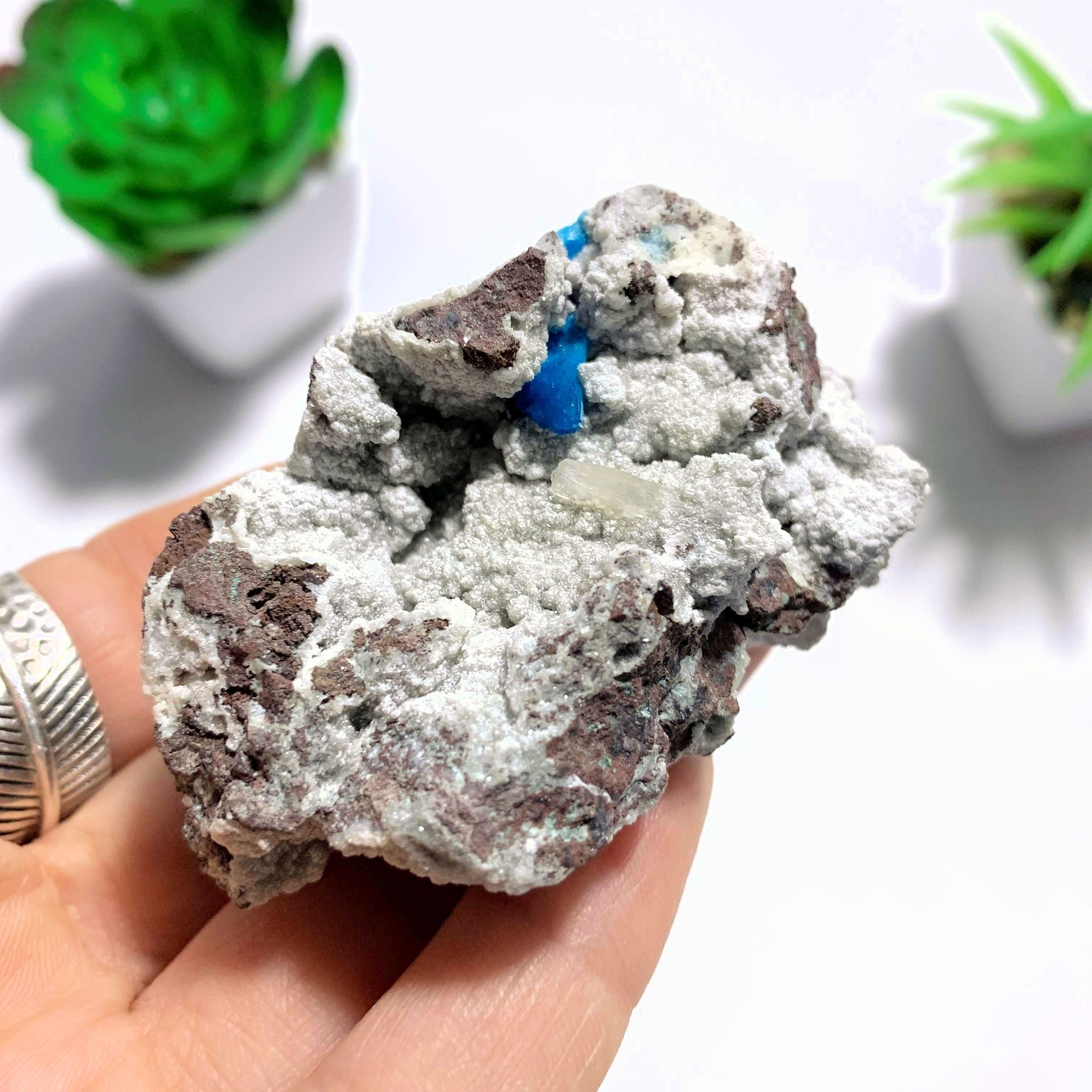 Natural Blue Cavansite Nestled In Druzy Matrix ~Locality India - Earth Family Crystals