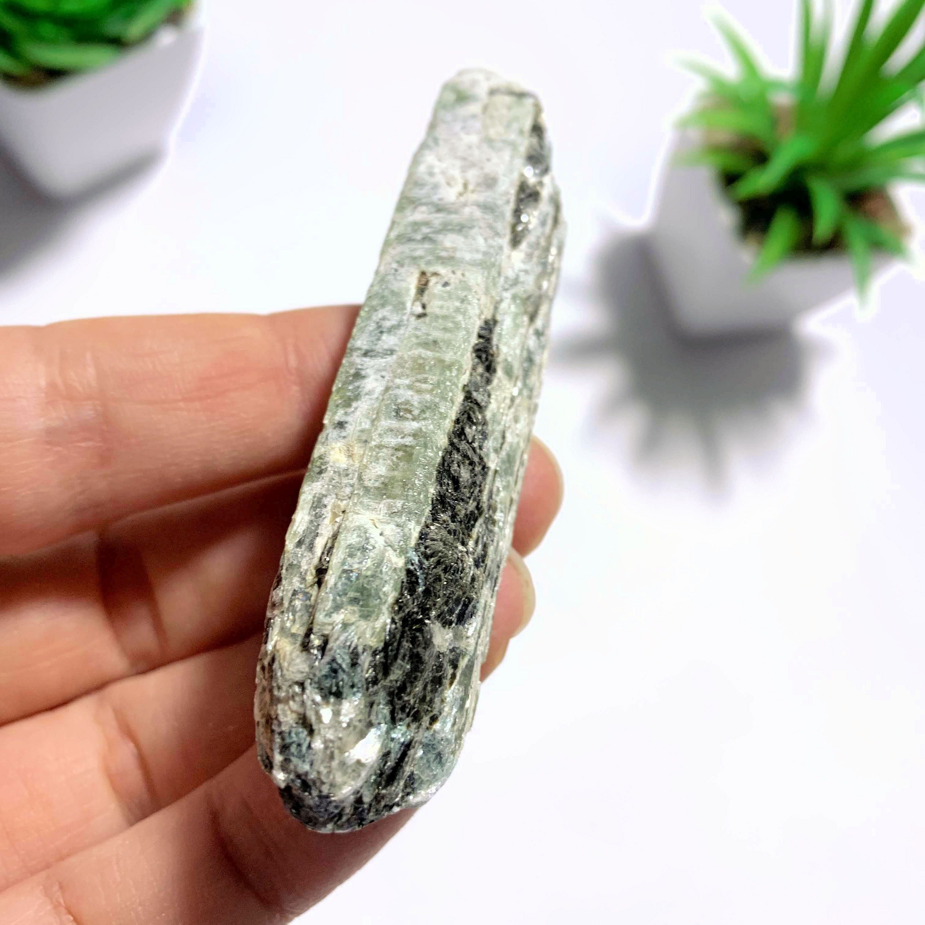 Raw & Natural Green Kyanite Point - Earth Family Crystals