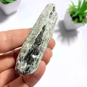 Raw & Natural Green Kyanite Point - Earth Family Crystals