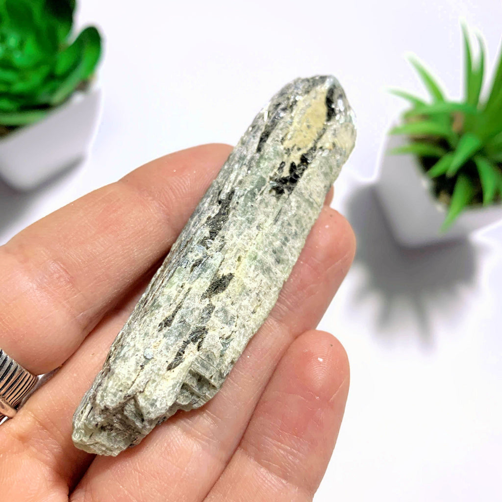 Raw & Natural Green Kyanite Point - Earth Family Crystals