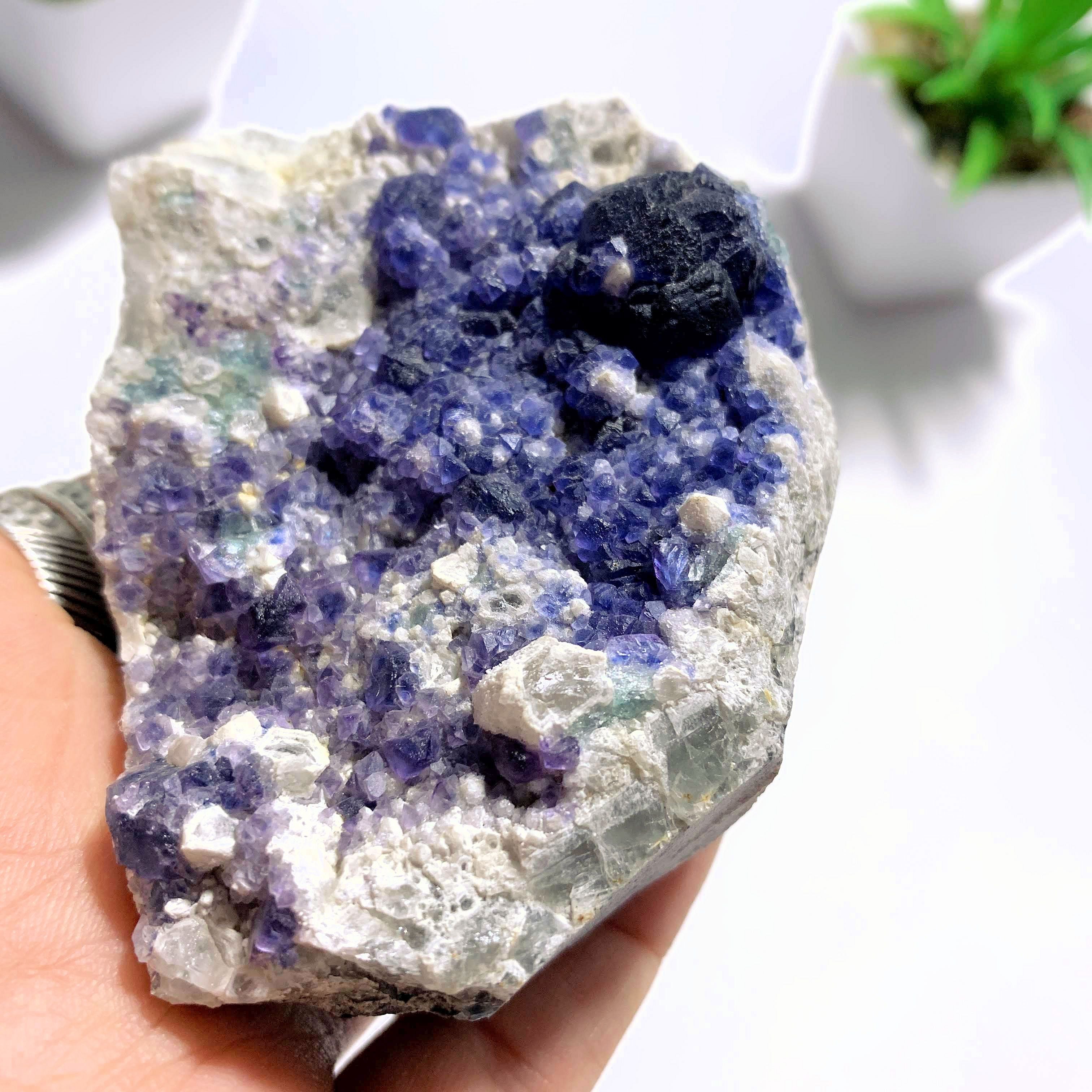 Rare & Unusual Deep Blue Fluorite Crystals on Matrix - Earth Family Crystals