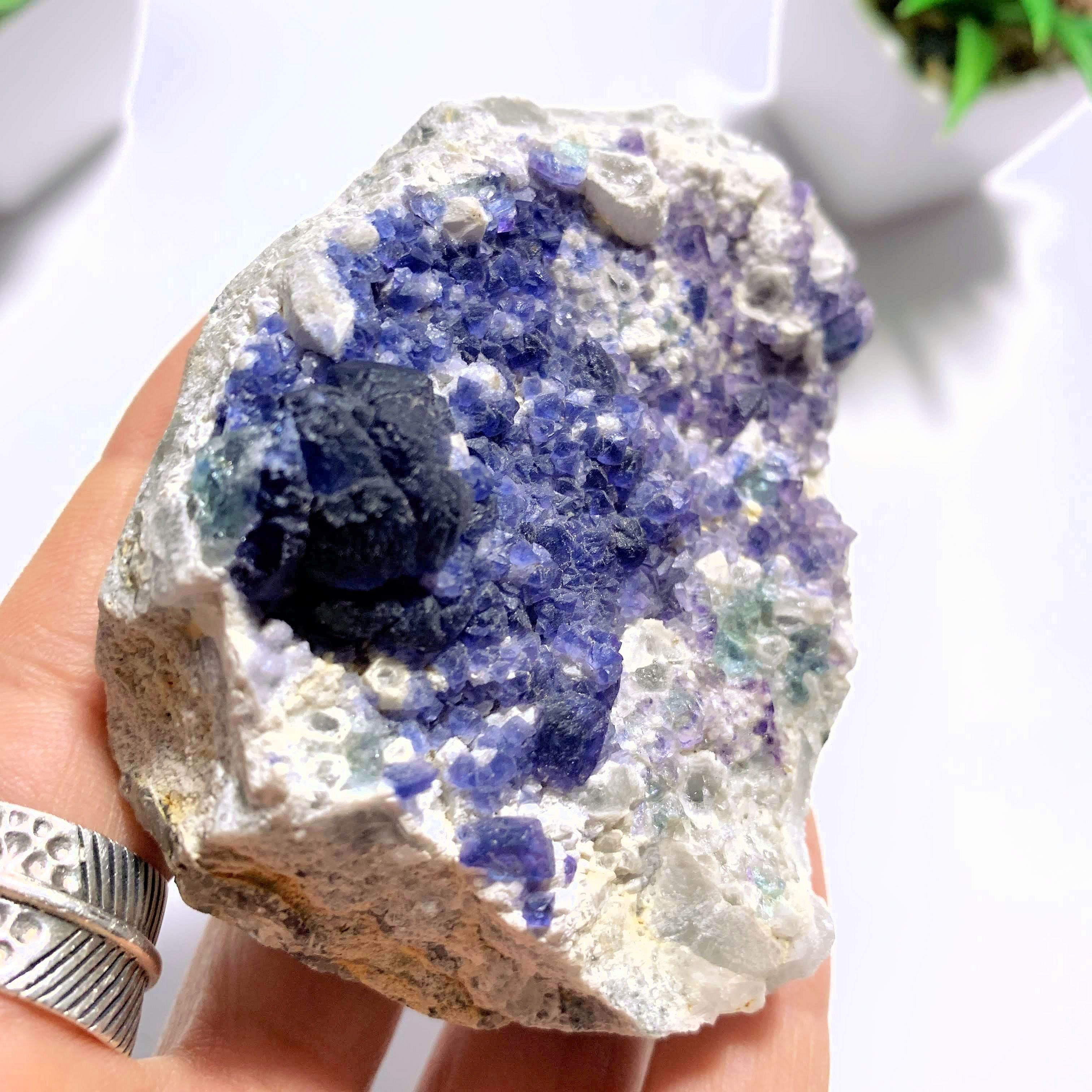 Rare & Unusual Deep Blue Fluorite Crystals on Matrix - Earth Family Crystals