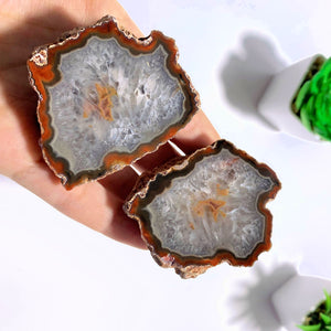 Stunning Red & Clear Patterns Set of 2 Condor Agate Matching Halves From Patagonia - Earth Family Crystals