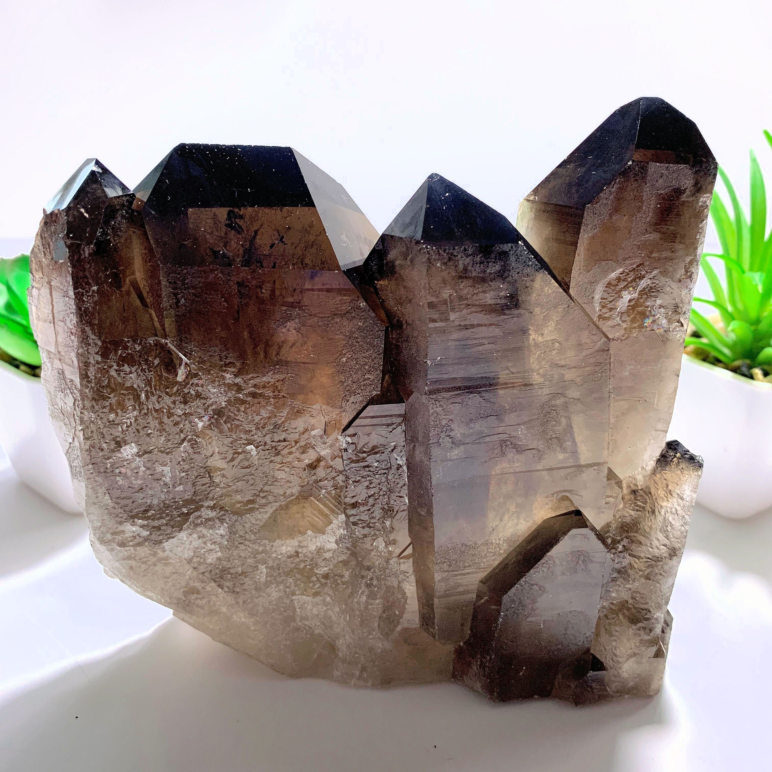 Incredible XL Dark Elestial Smoky Quartz Self Standing Specimen~Locality Brazil