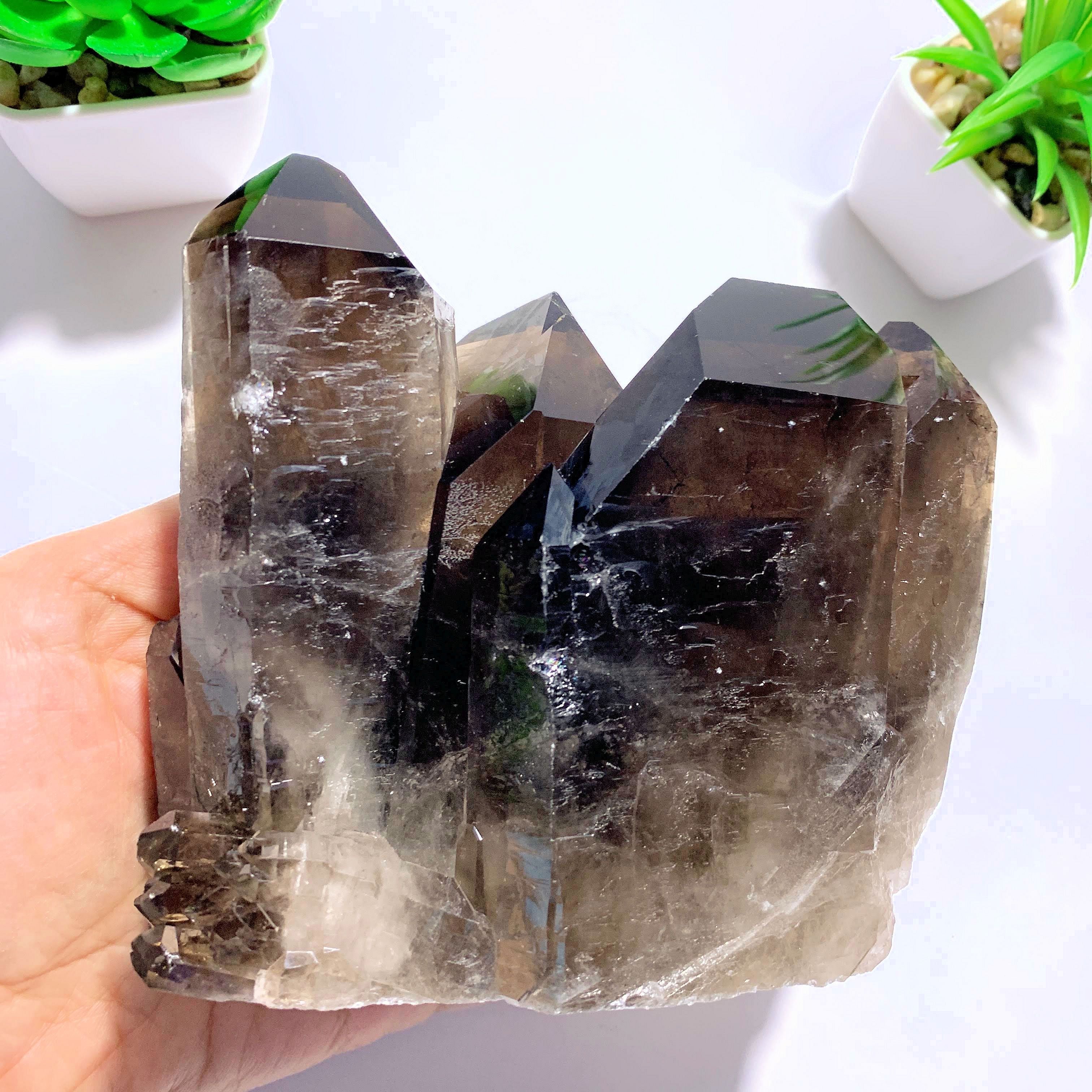 Incredible XL Dark Elestial Smoky Quartz Self Standing Specimen~Locality Brazil