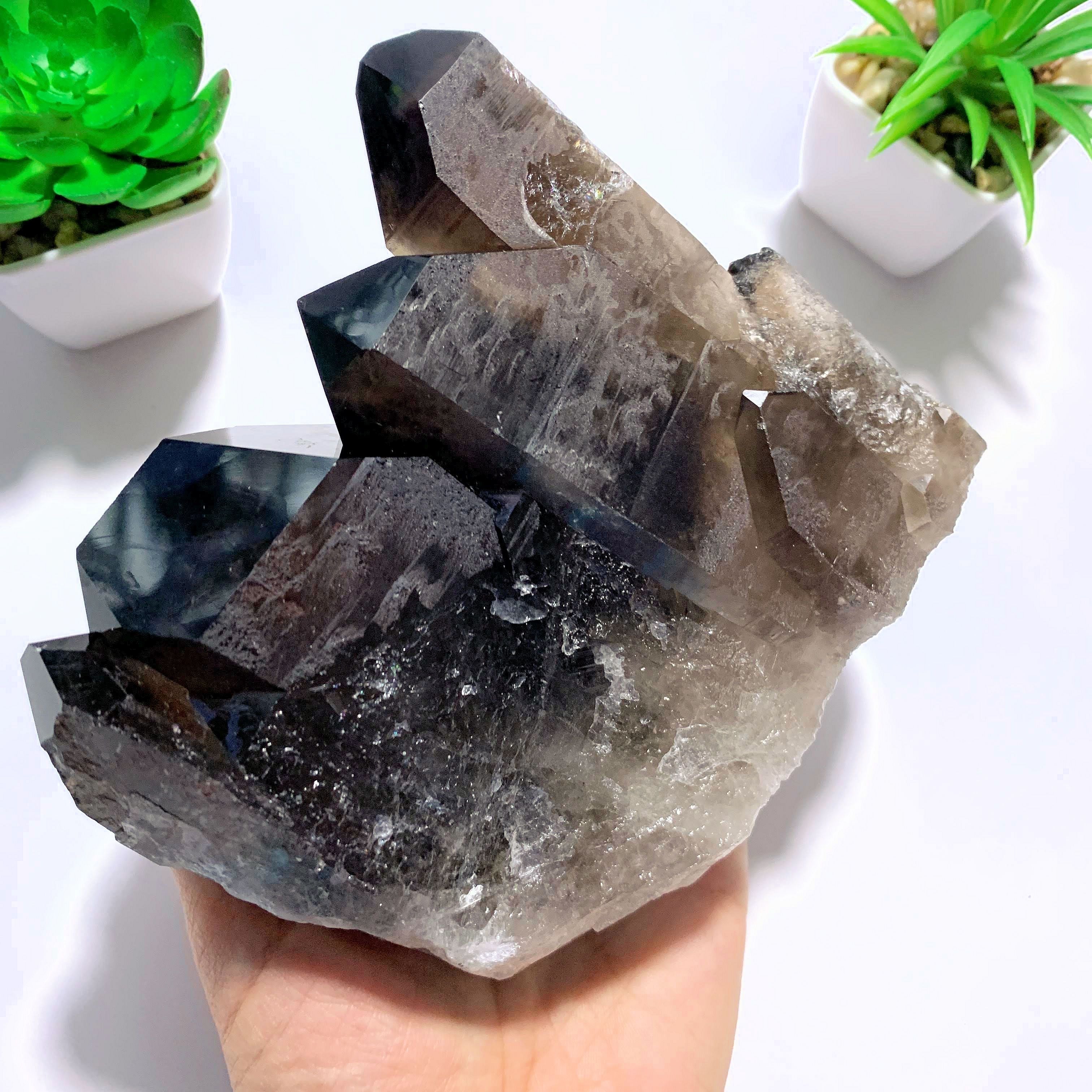 Incredible XL Dark Elestial Smoky Quartz Self Standing Specimen~Locality Brazil