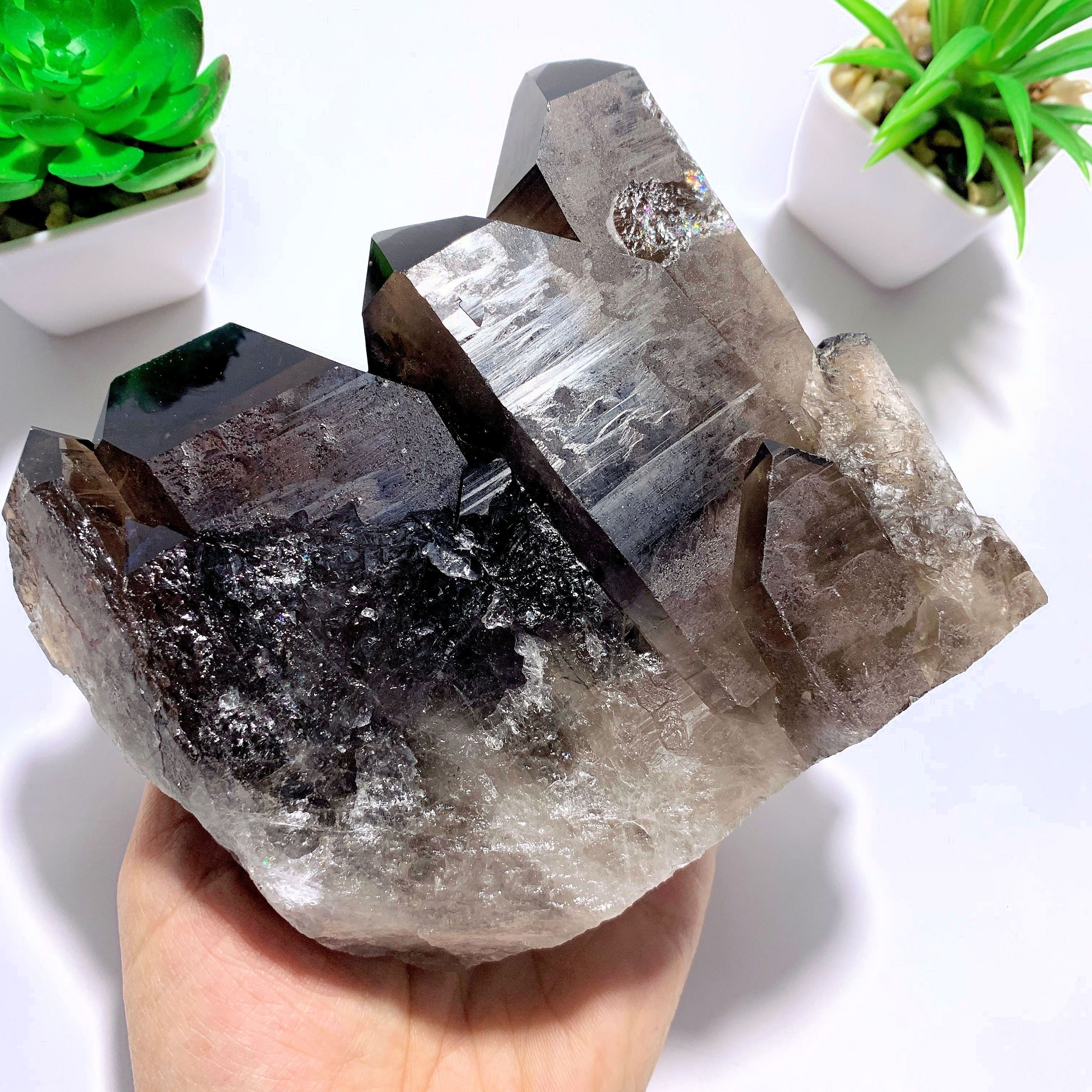 Incredible XL Dark Elestial Smoky Quartz Self Standing Specimen~Locality Brazil