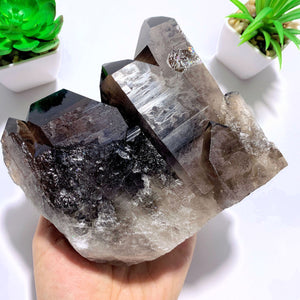 Incredible XL Dark Elestial Smoky Quartz Self Standing Specimen~Locality Brazil