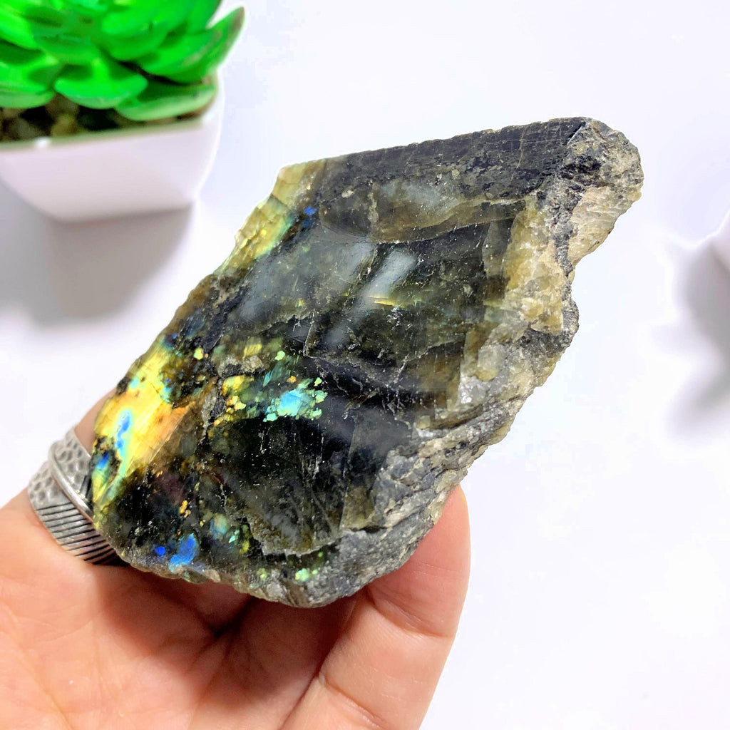 Partially Polished Labradorite Specimen From Madagascar - Earth Family Crystals