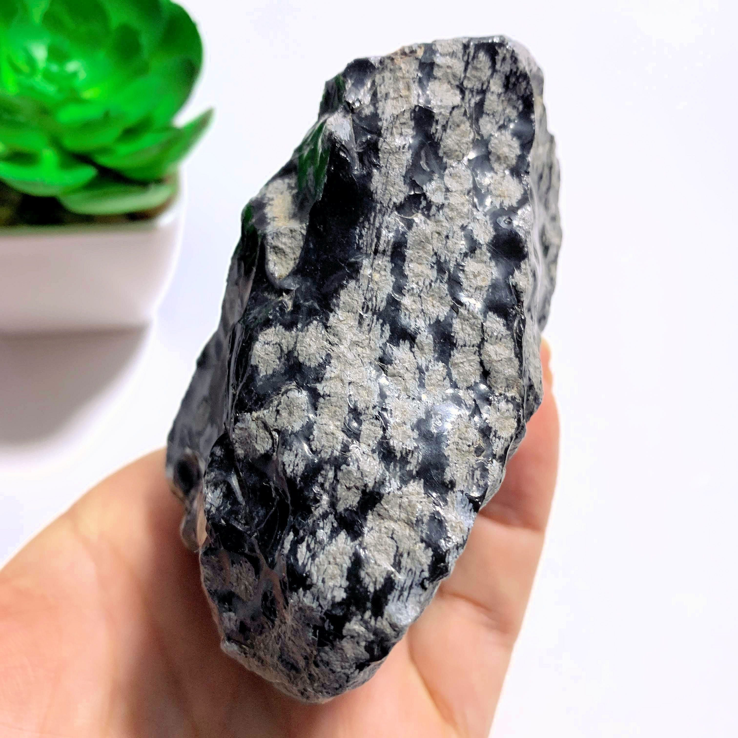 Snowflake Obsidian Natural Chunk Specimen - Earth Family Crystals