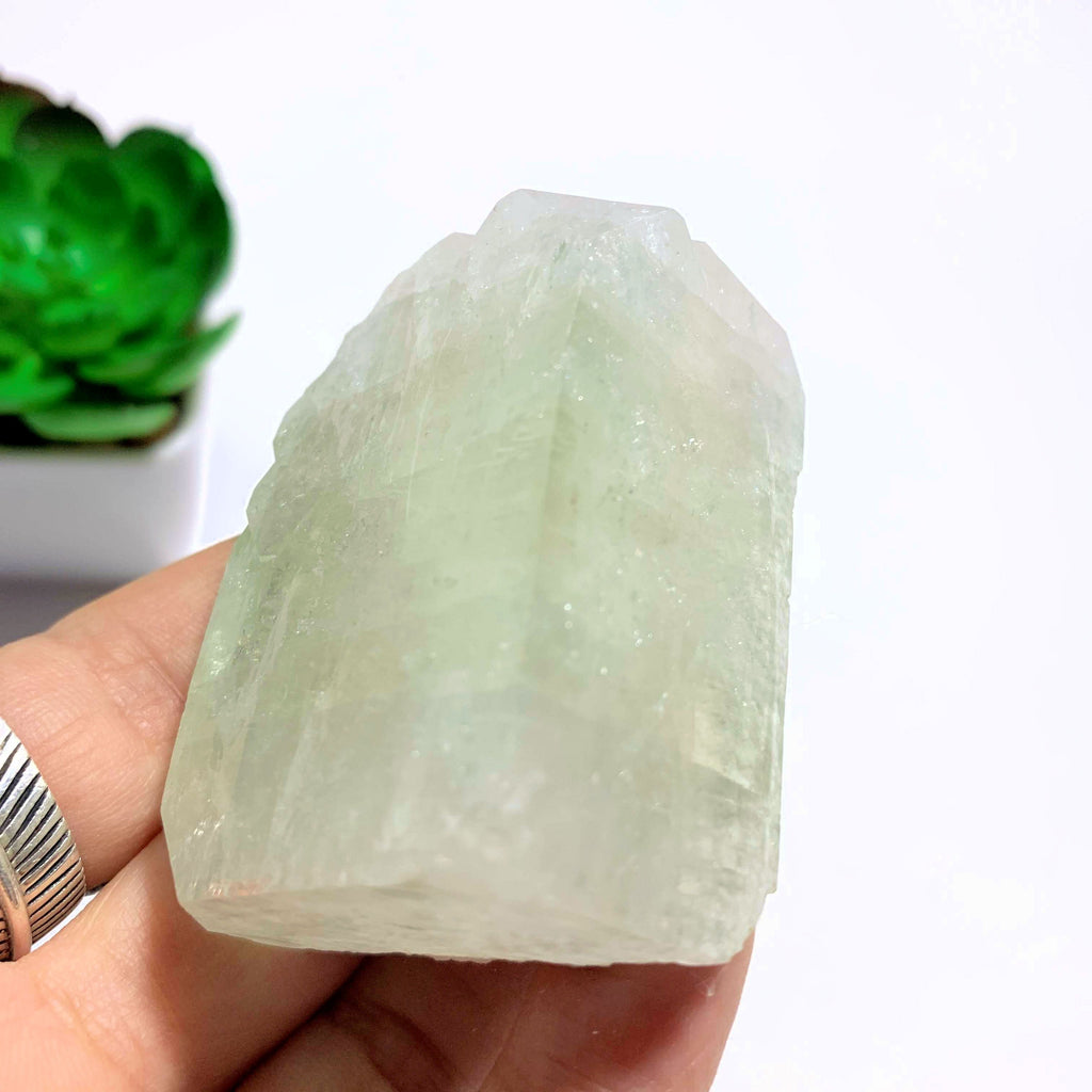 Brilliant Mint Green & Clear Apophyllite Specimen ~Locality India - Earth Family Crystals