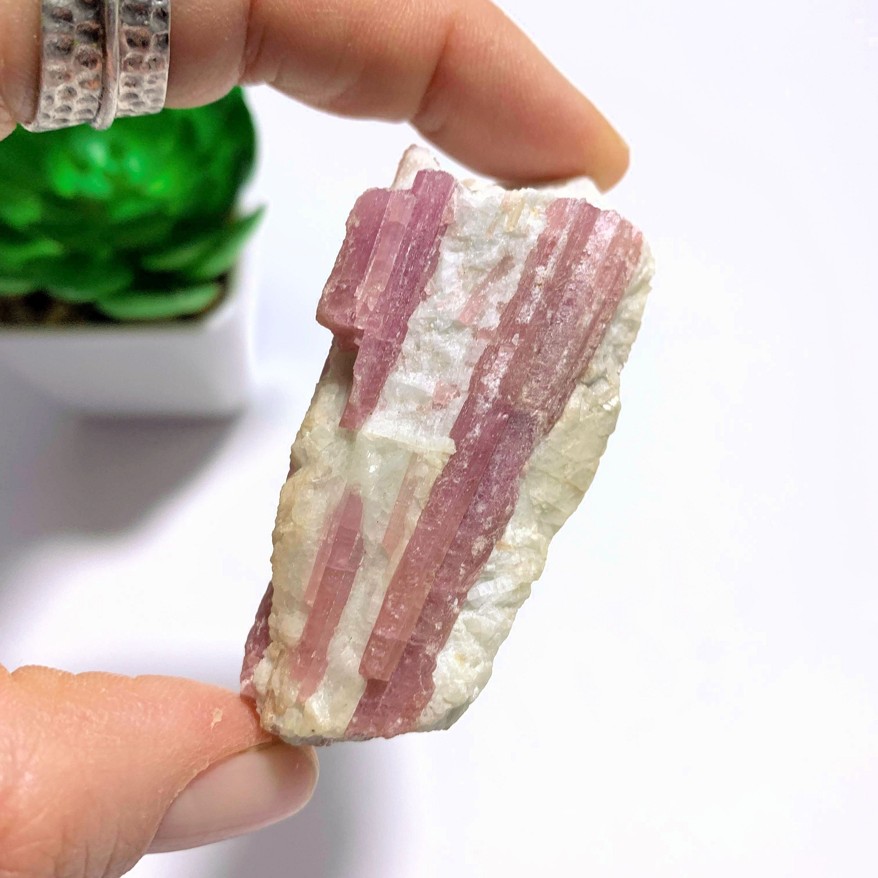 Pretty Natural Pink Tourmaline Blades Nestled in Milky Quartz From Brazil - Earth Family Crystals