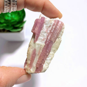 Pretty Natural Pink Tourmaline Blades Nestled in Milky Quartz From Brazil - Earth Family Crystals