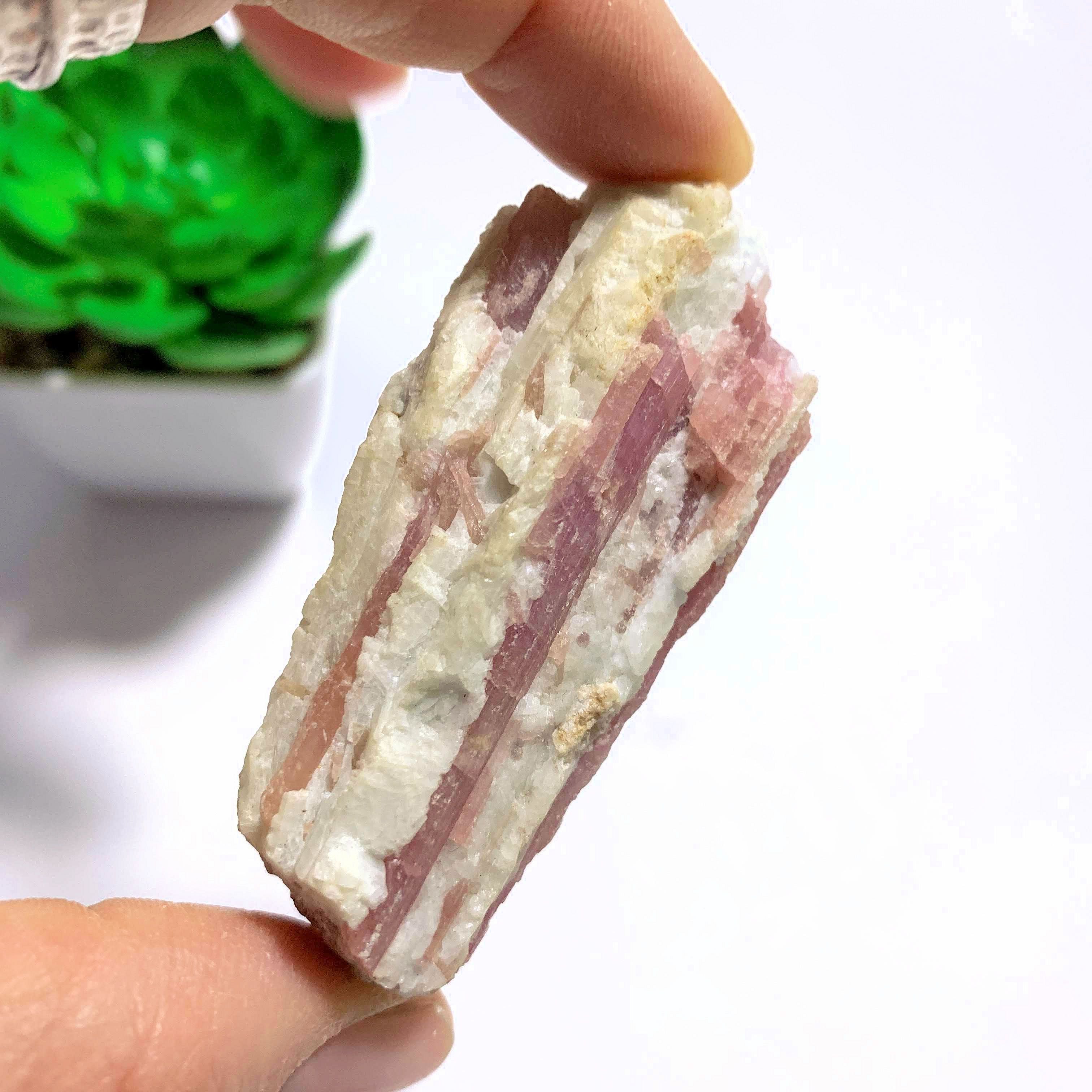 Pretty Natural Pink Tourmaline Blades Nestled in Milky Quartz From Brazil - Earth Family Crystals