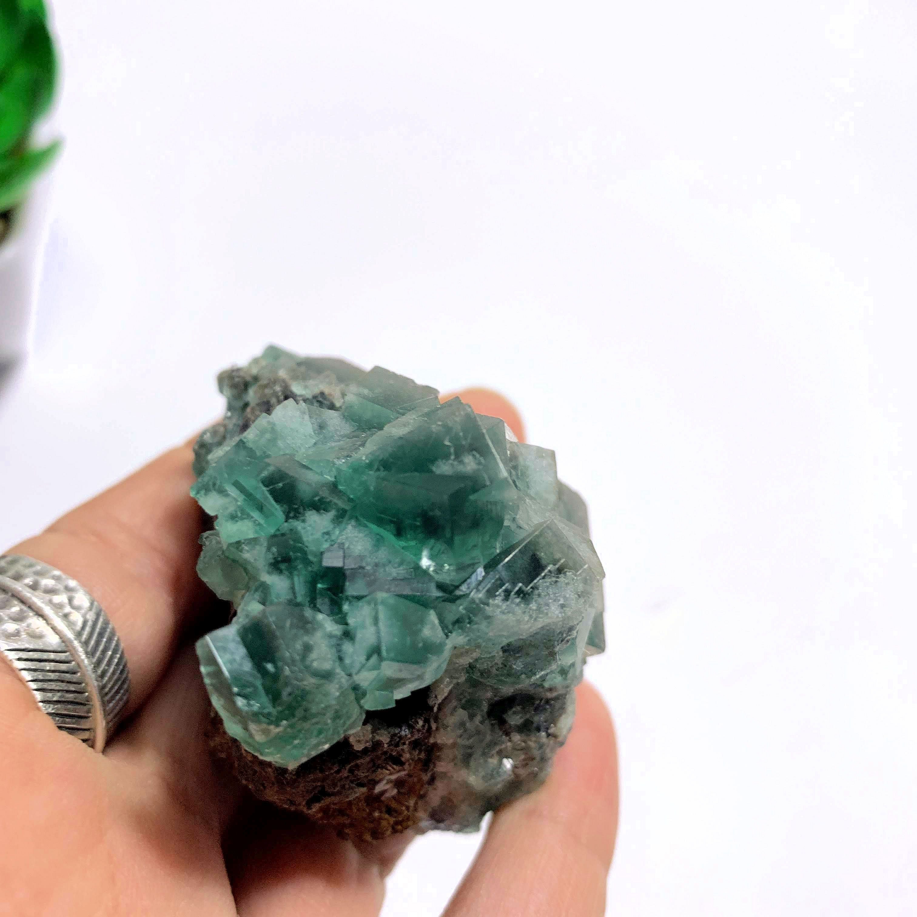 Famous Locality~Rogerley Mine  Fluorite Cluster From Frosterley, England (Color Changing) - Earth Family Crystals