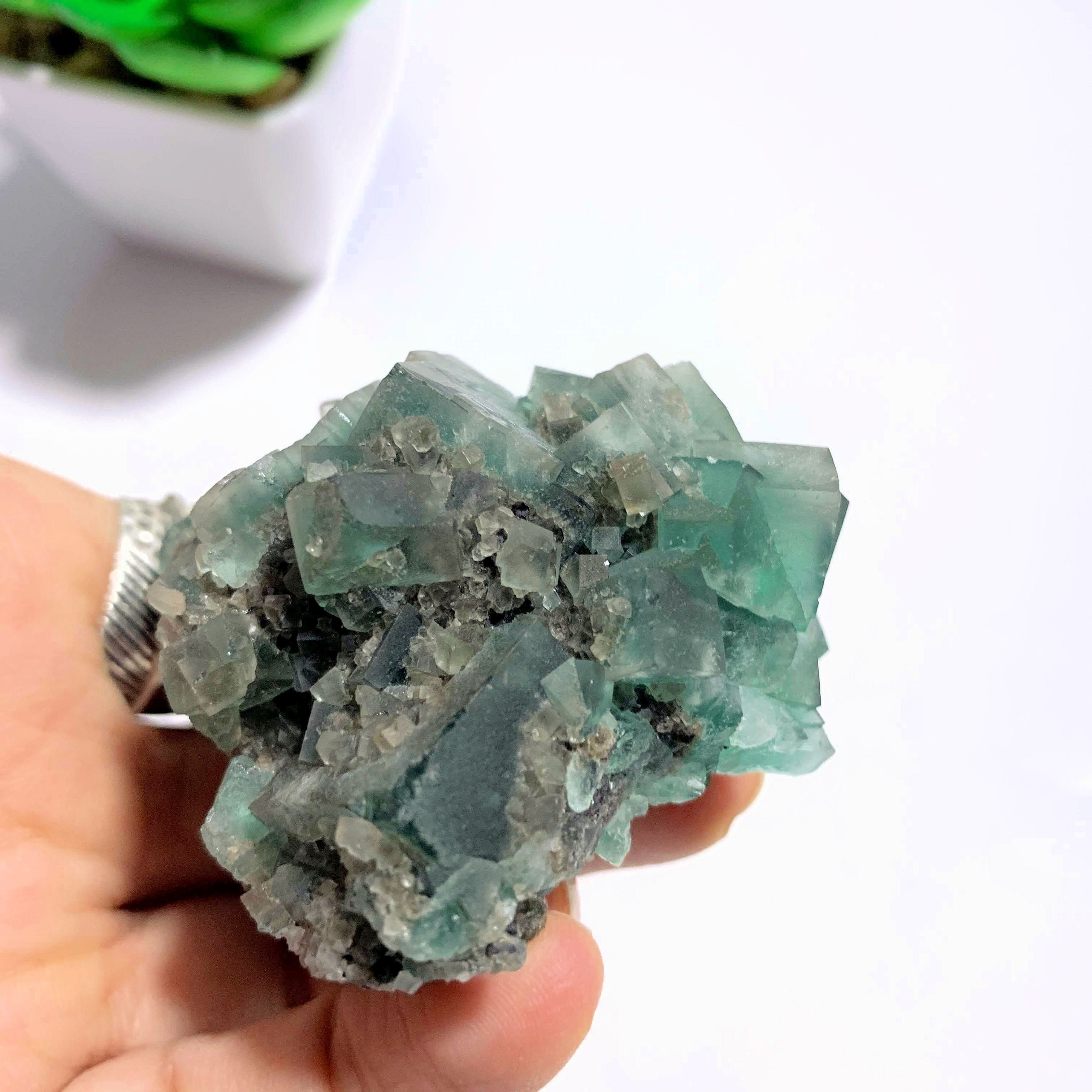 Famous Locality~Rogerley Mine  Fluorite Cluster From Frosterley, England (Color Changing) - Earth Family Crystals