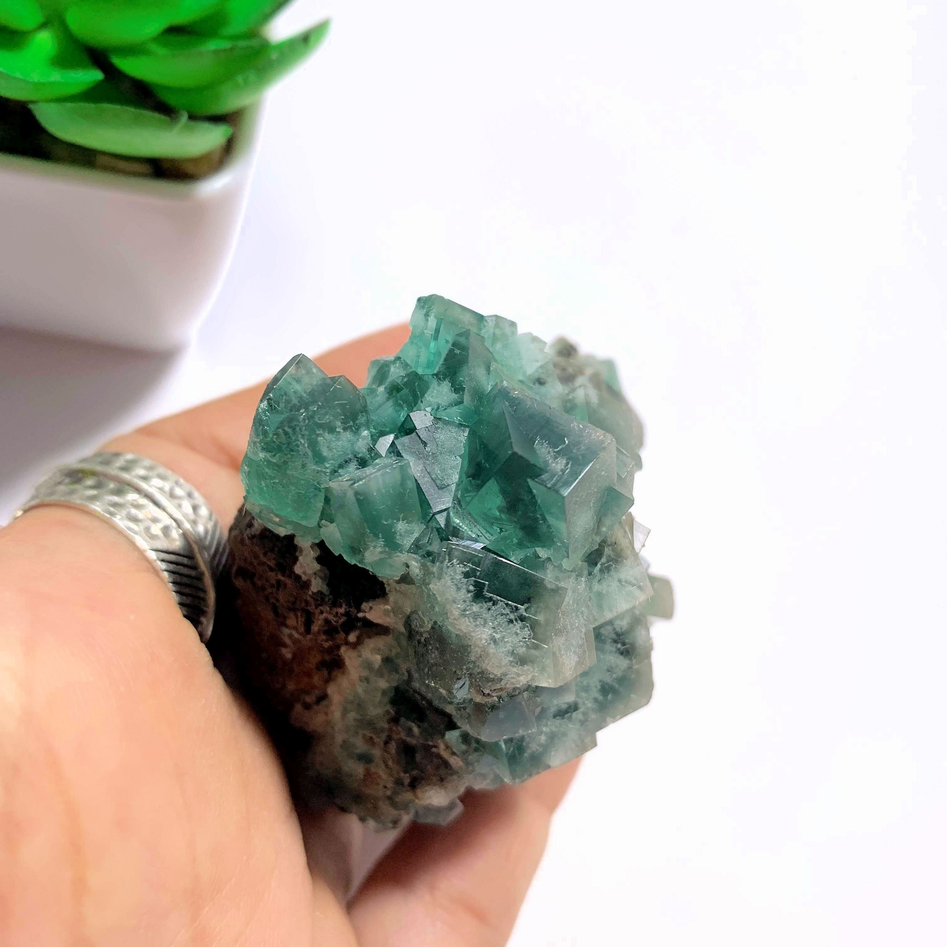 Famous Locality~Rogerley Mine  Fluorite Cluster From Frosterley, England (Color Changing) - Earth Family Crystals