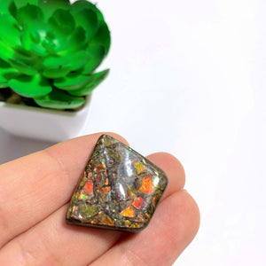 Alberta Ammolite Fossil Cabochon Ideal for Crafting #2 - Earth Family Crystals