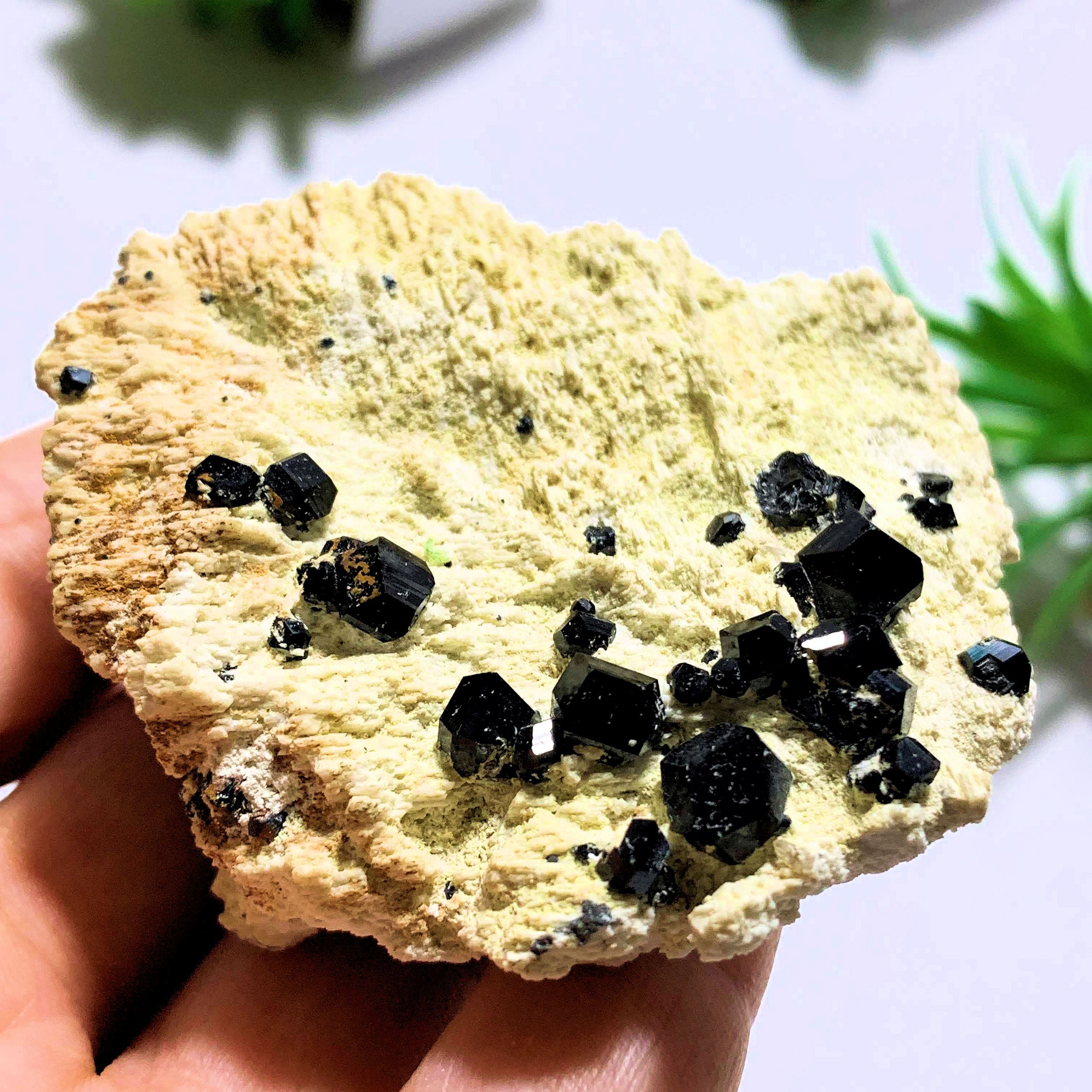 Black Tourmaline Points Nestled on Feldspar Matrix~Locality Brazil - Earth Family Crystals